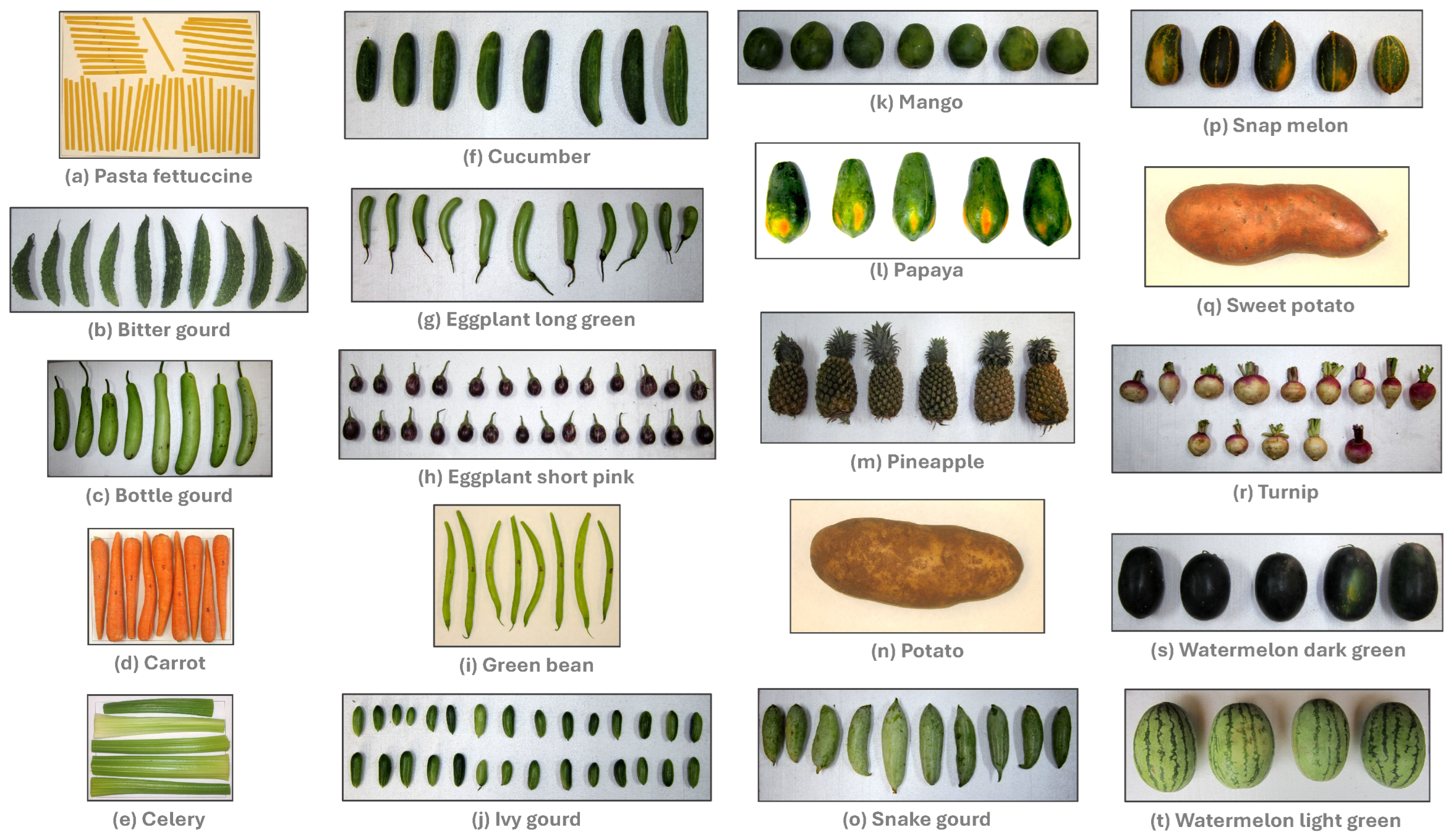 Preprints 164163 g001