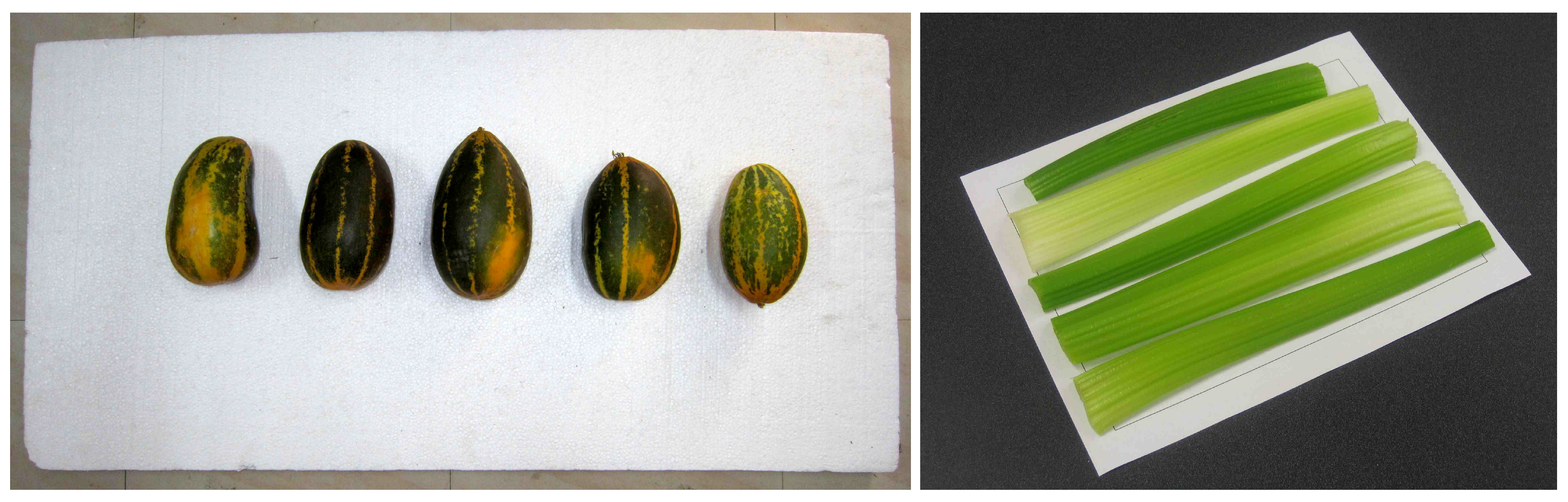 Preprints 164163 g003