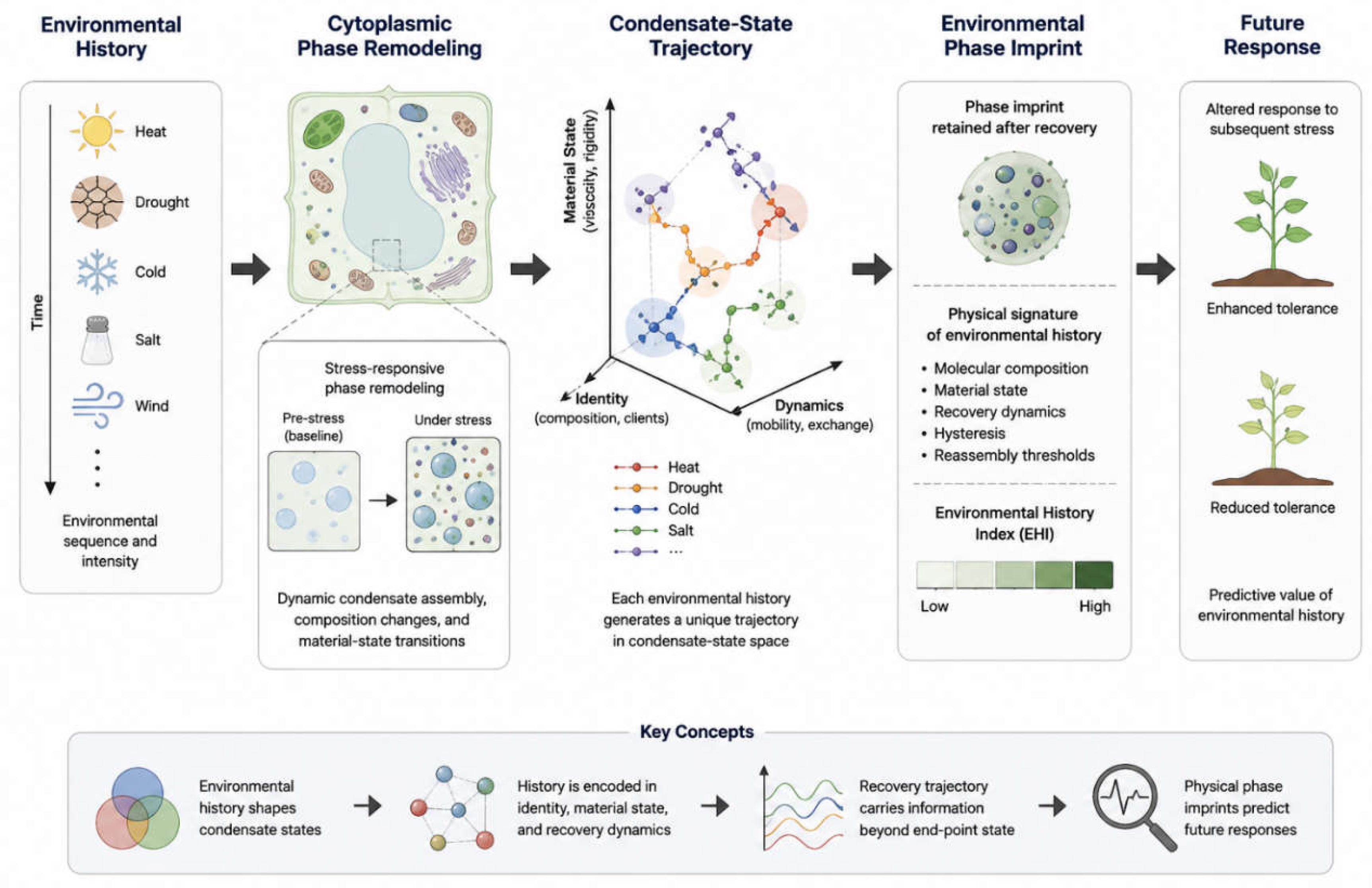 Preprints 230747 g002 Preprints 230747 g002