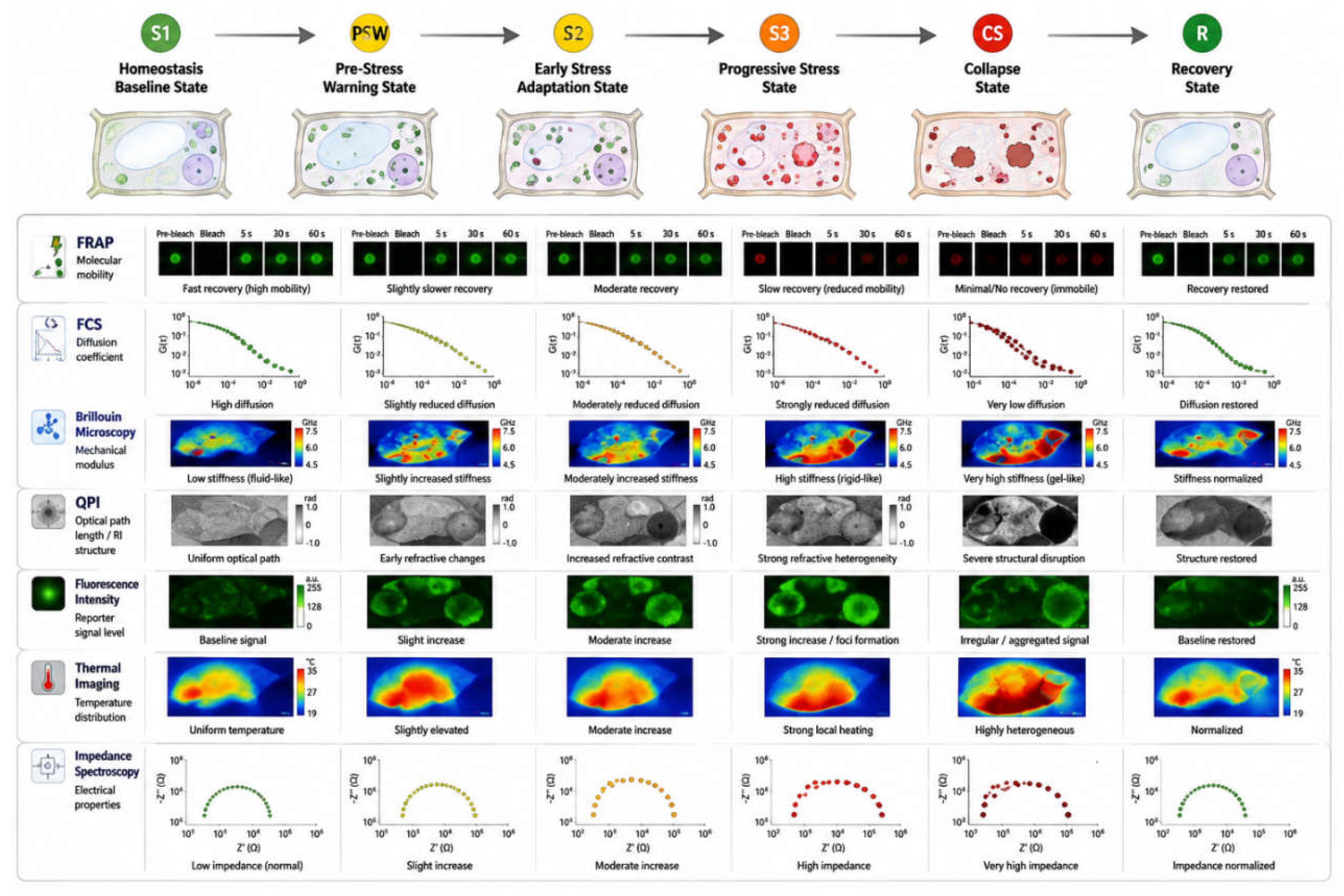 Preprints 230747 g007 Preprints 230747 g007