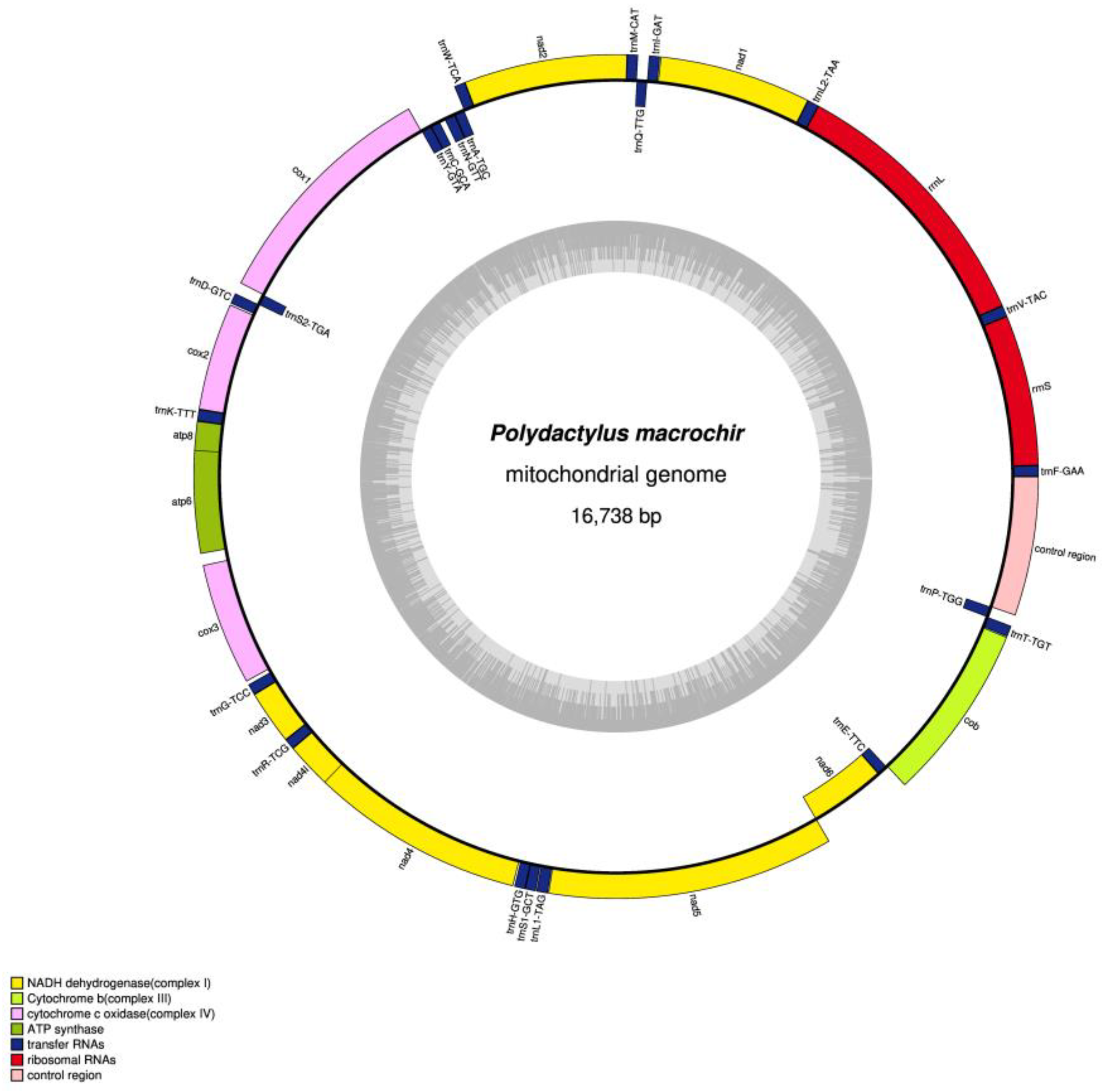 Preprints 143082 g001