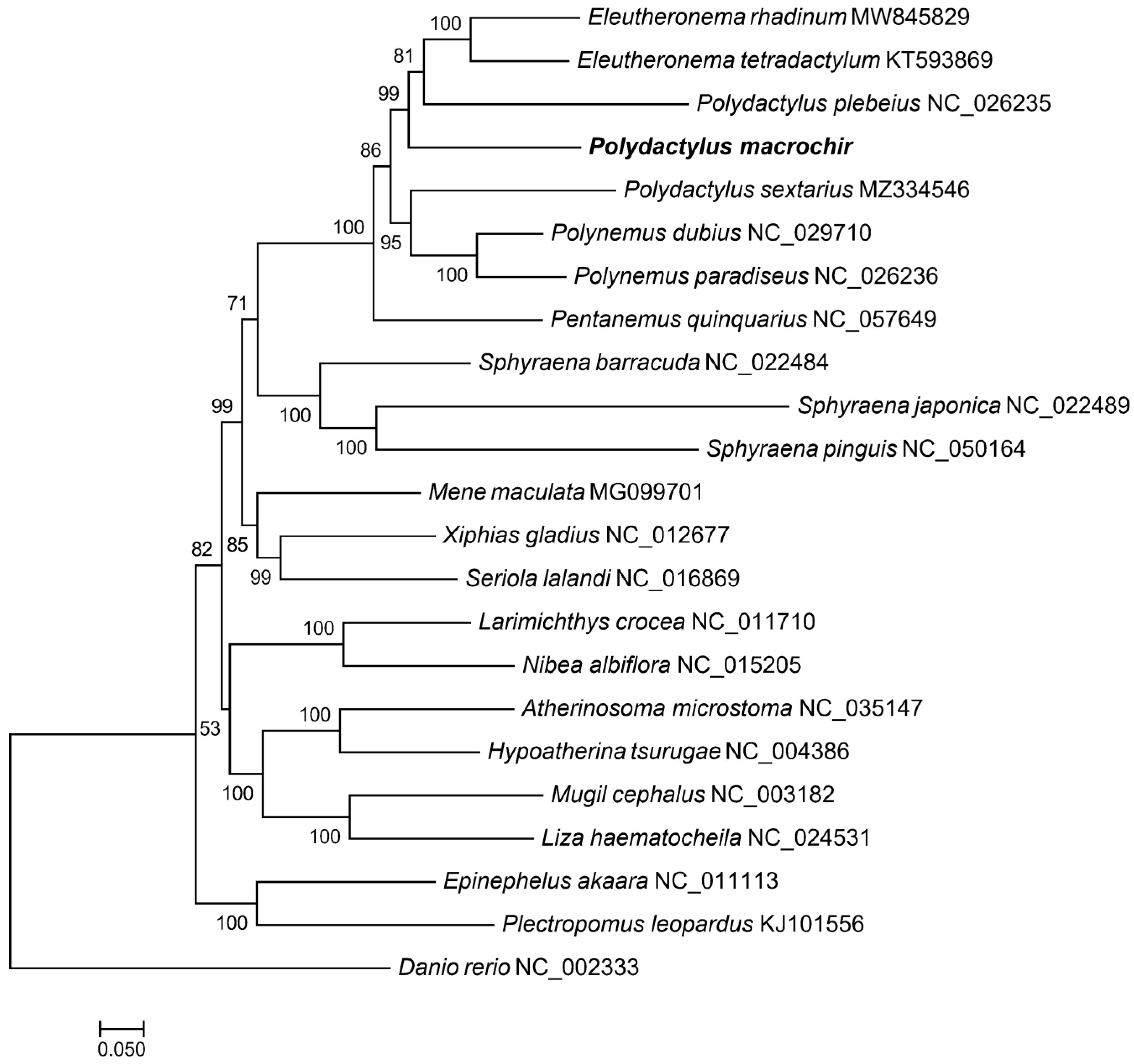 Preprints 143082 g004