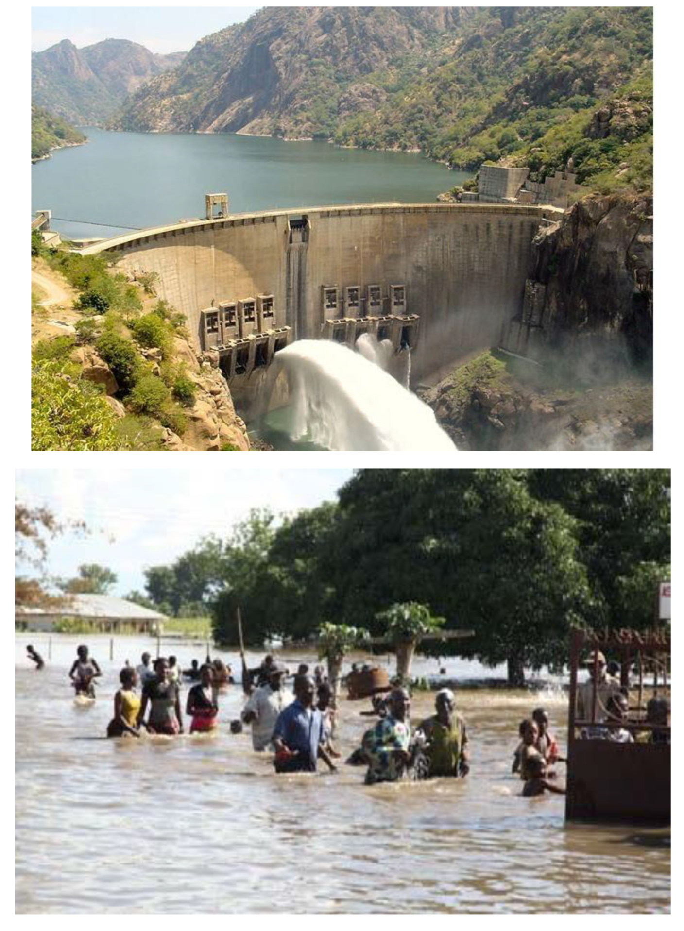 Preprints 87360 g005