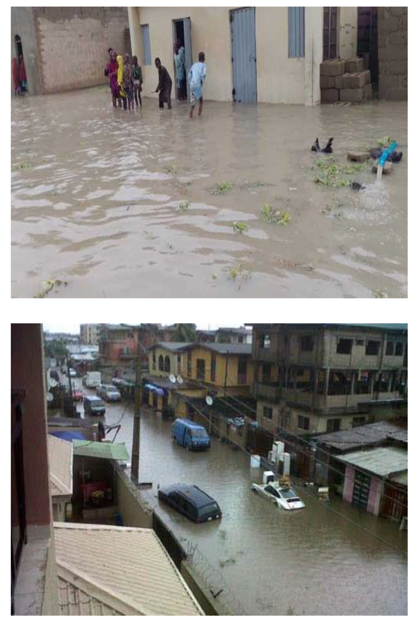 Preprints 87360 g006