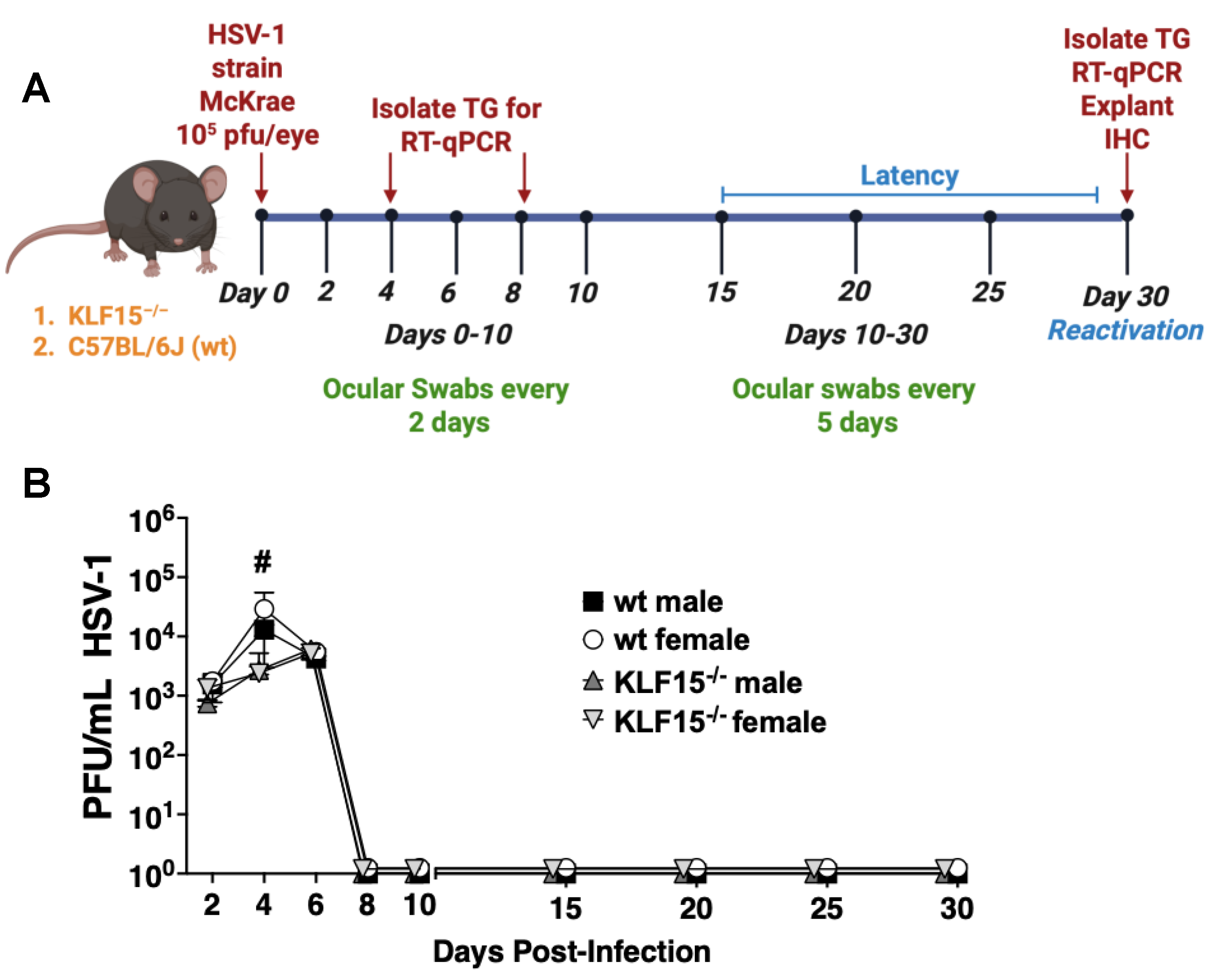 Preprints 172529 g003