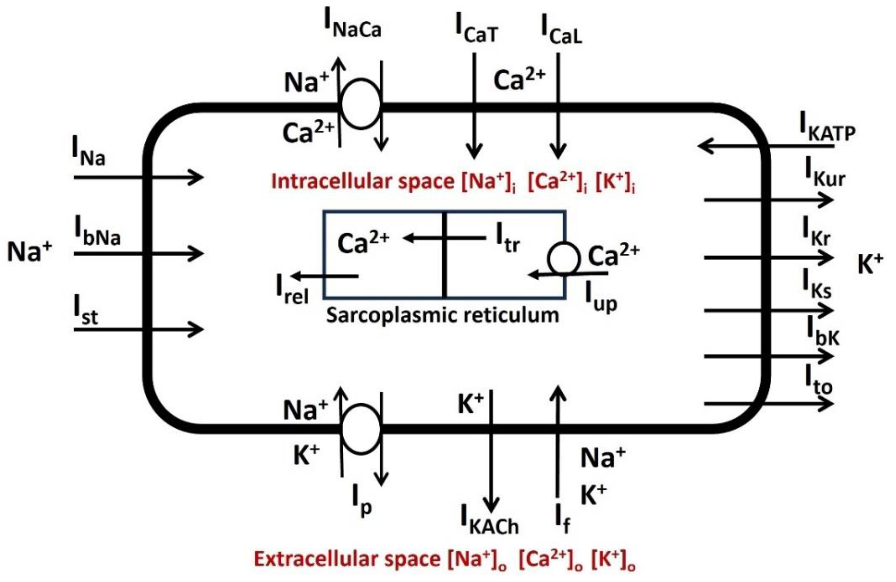 Preprints 104622 g001