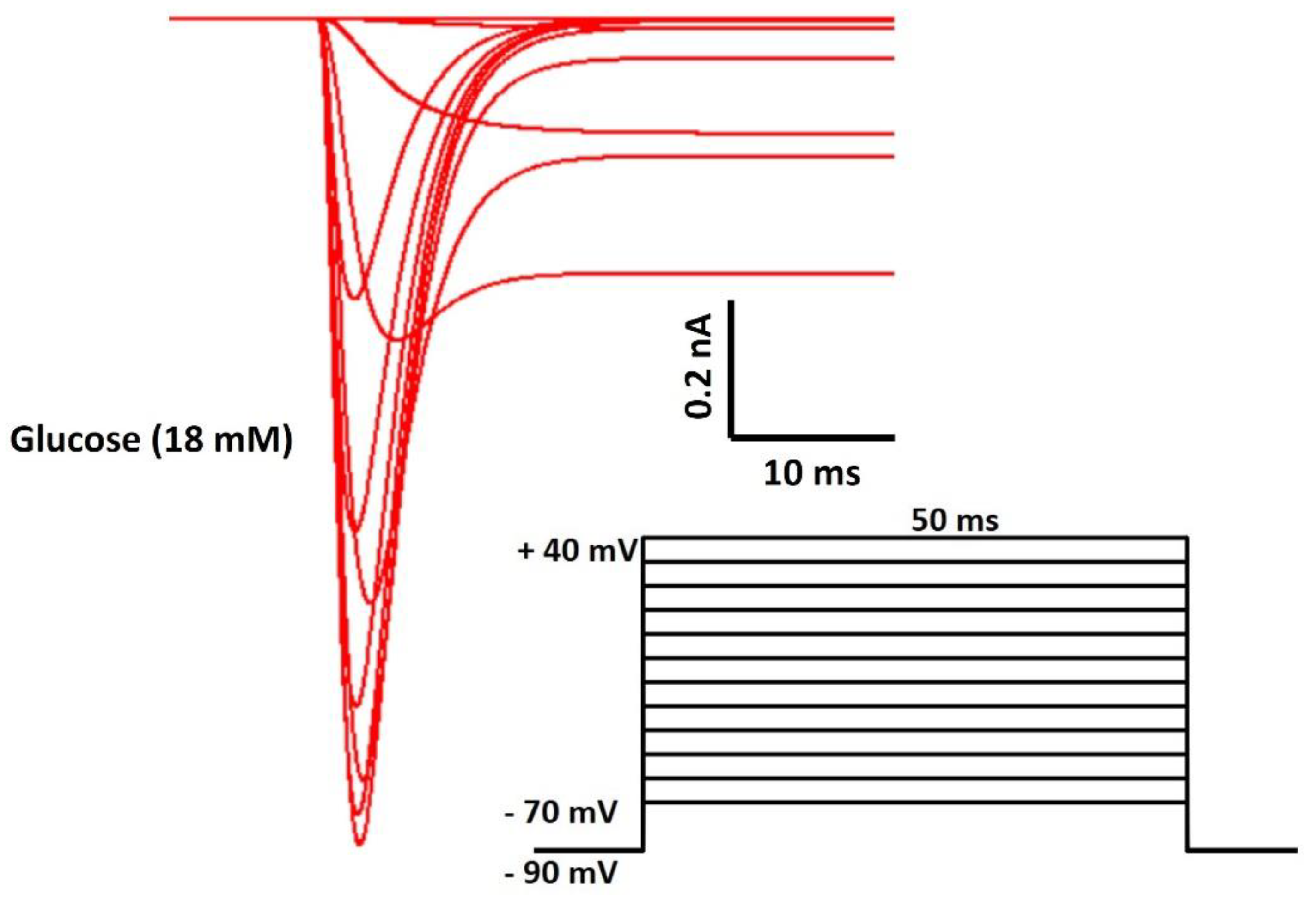 Preprints 104622 g005