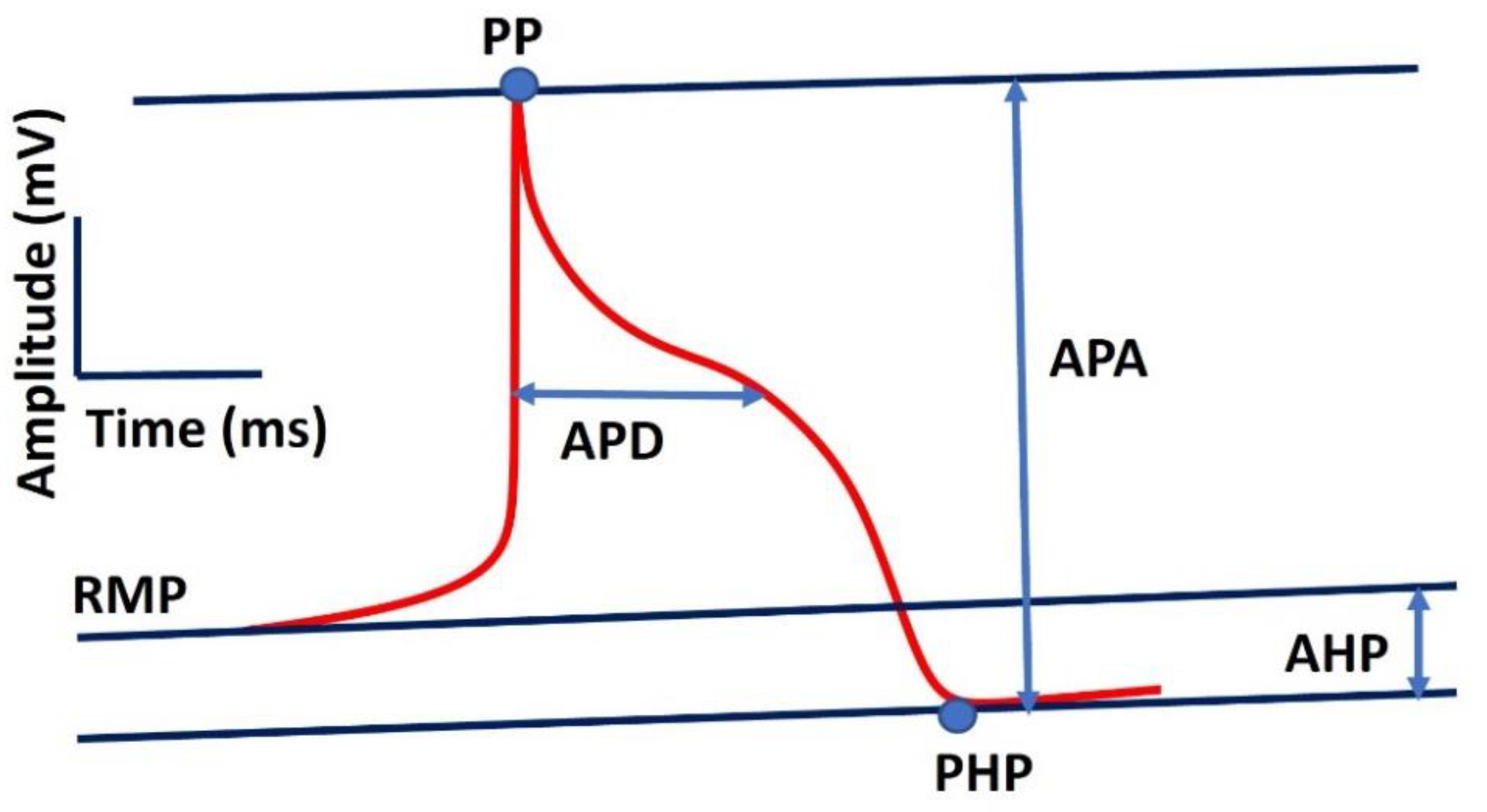 Preprints 104622 g006