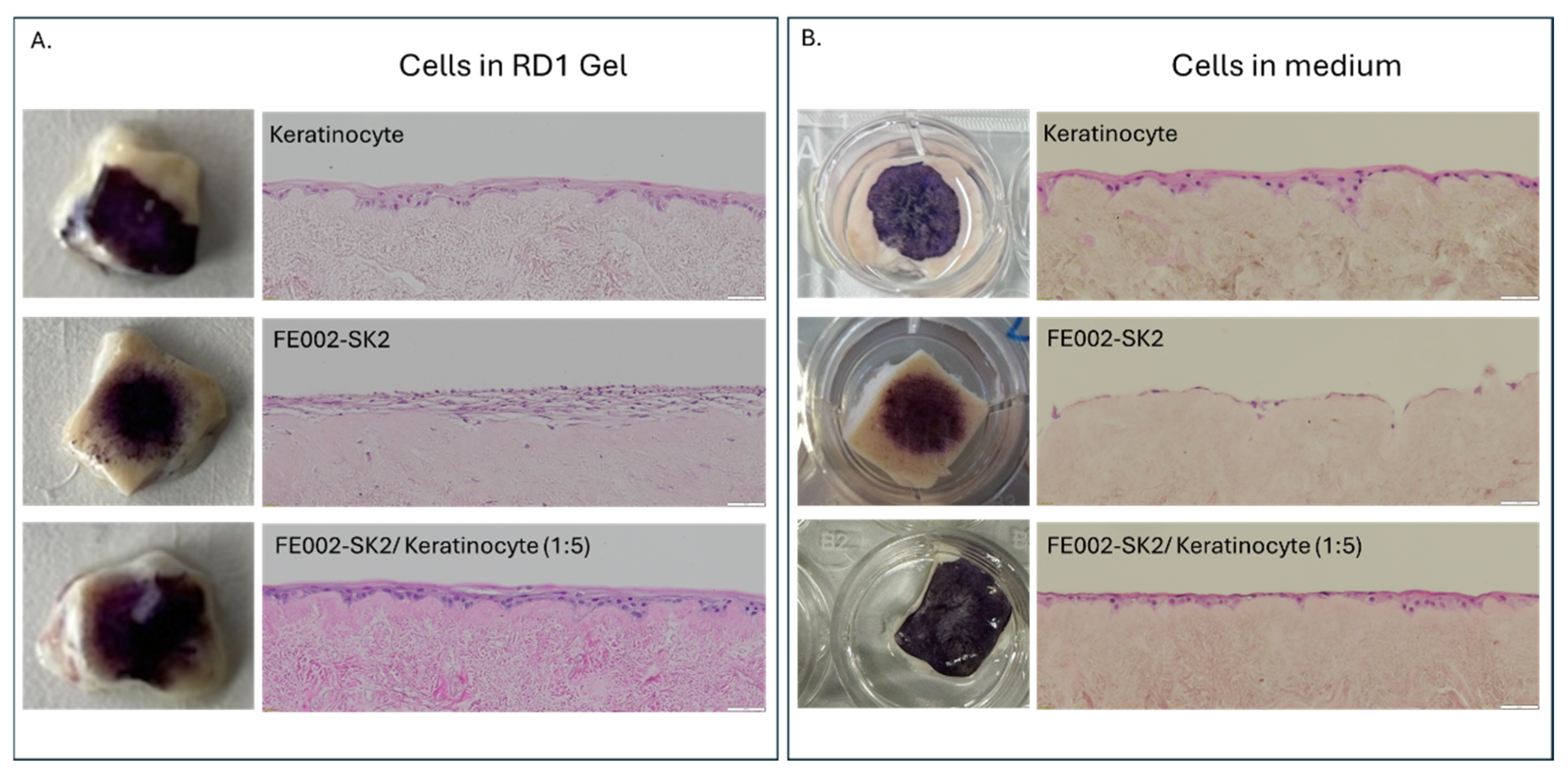 Preprints 186588 g008