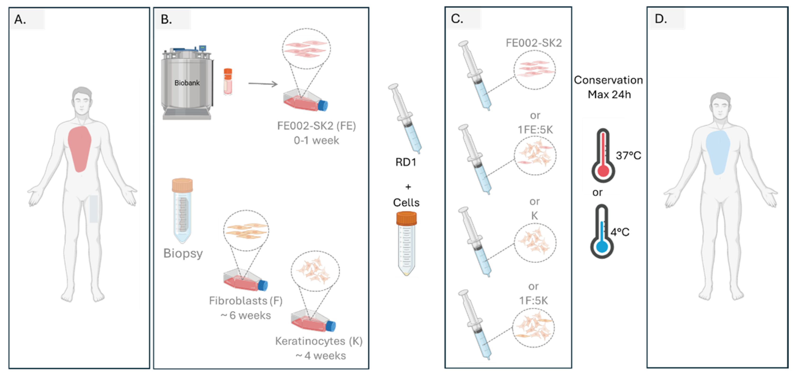 Preprints 186588 g009