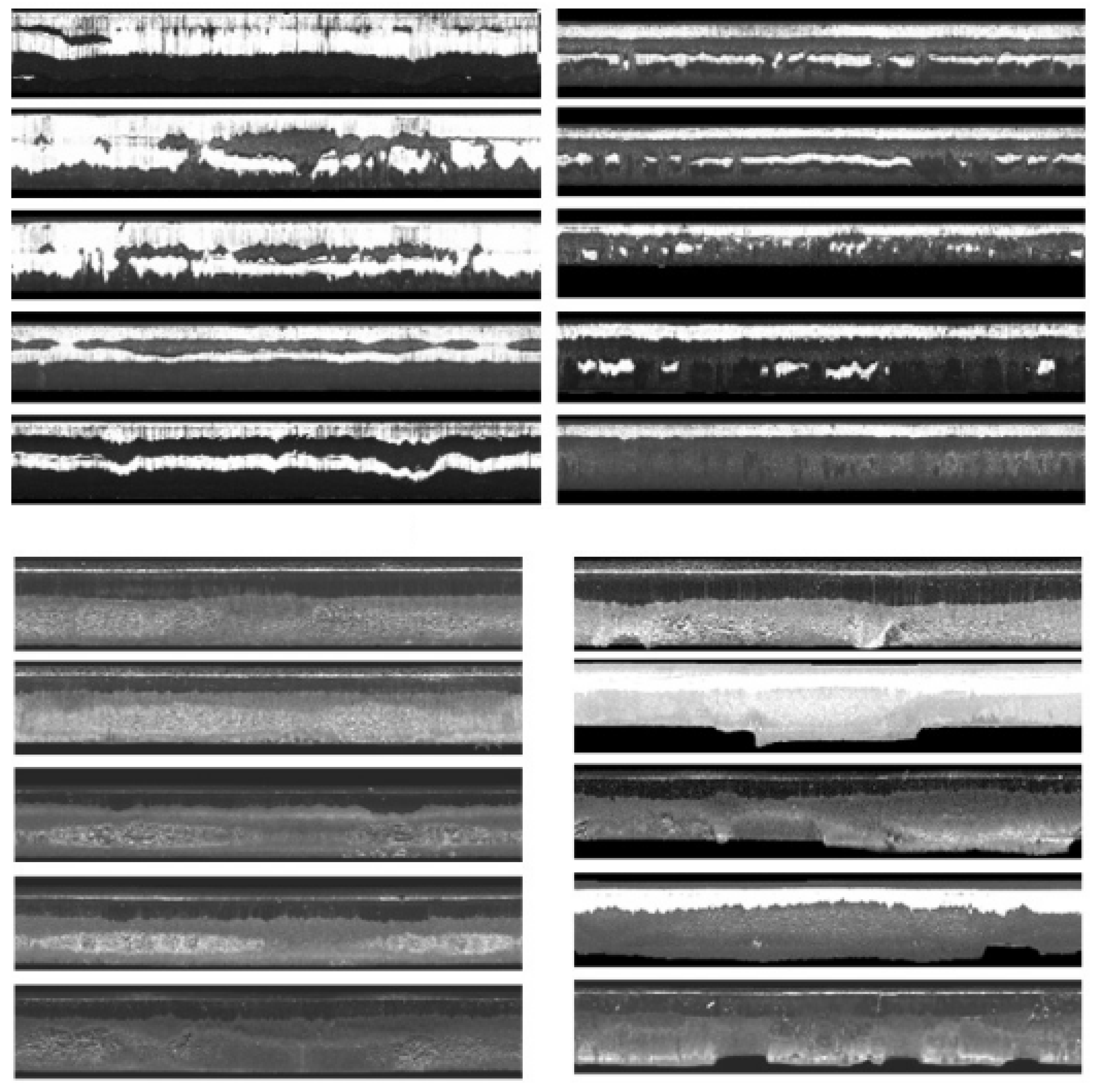 Preprints 161085 g003