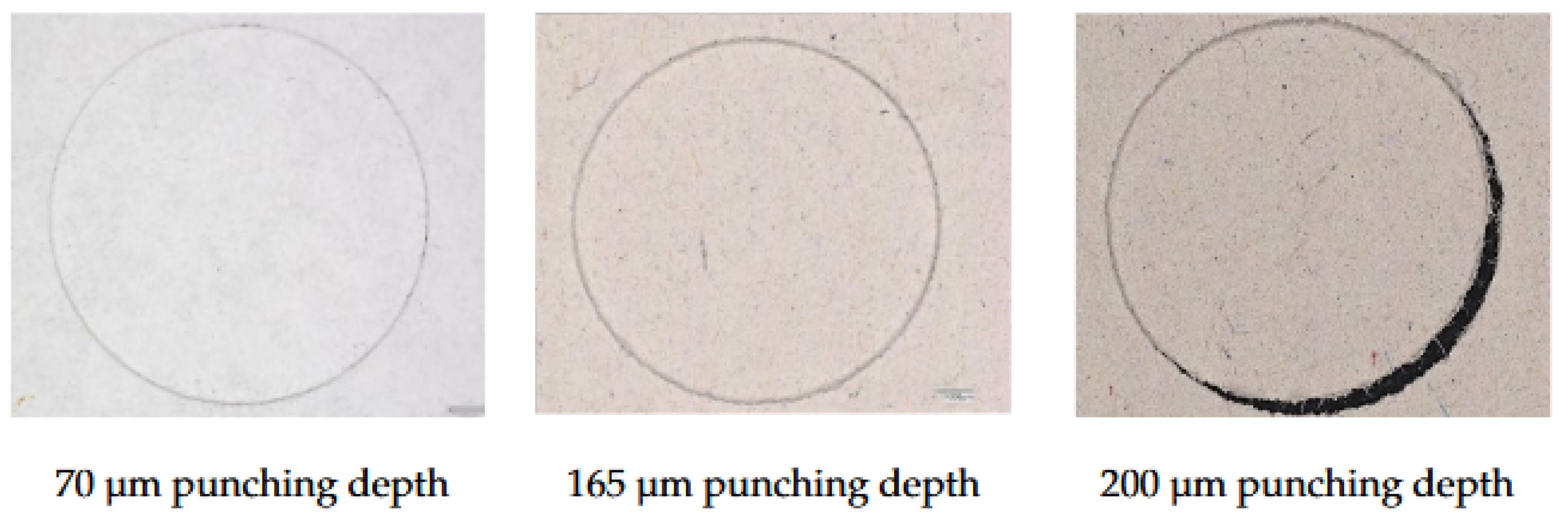 Preprints 161085 g005