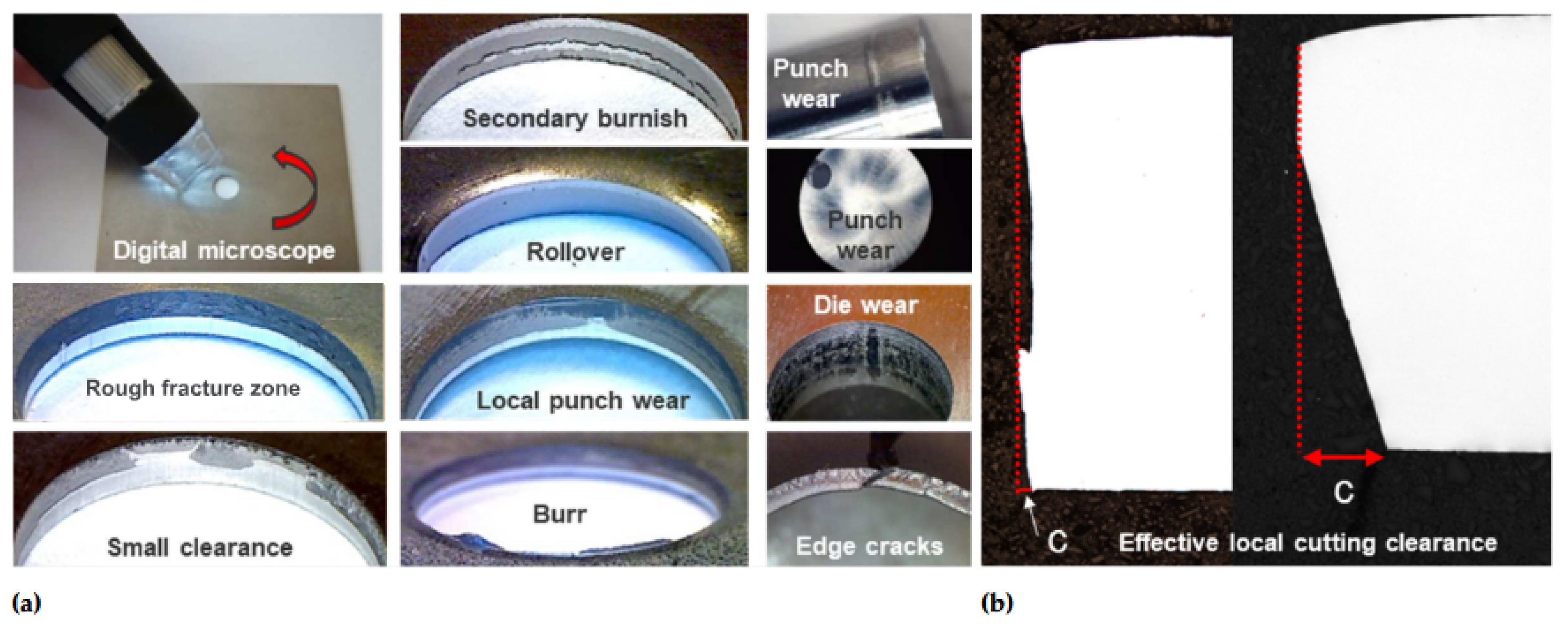 Preprints 161085 g006