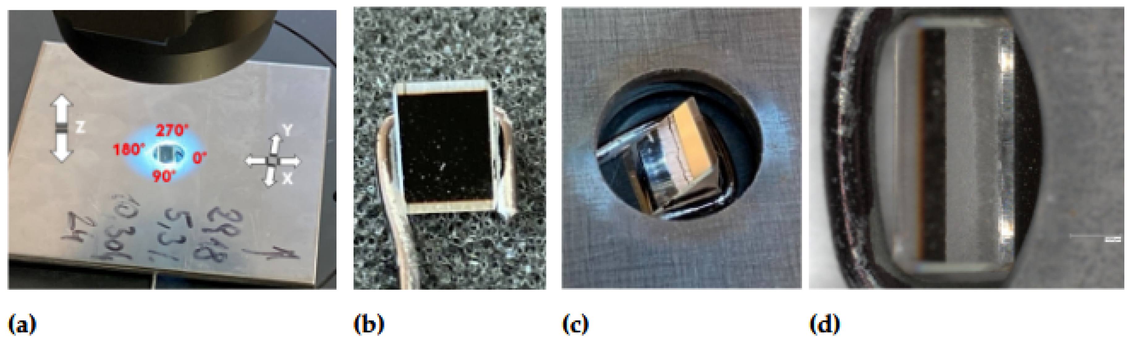 Preprints 161085 g010