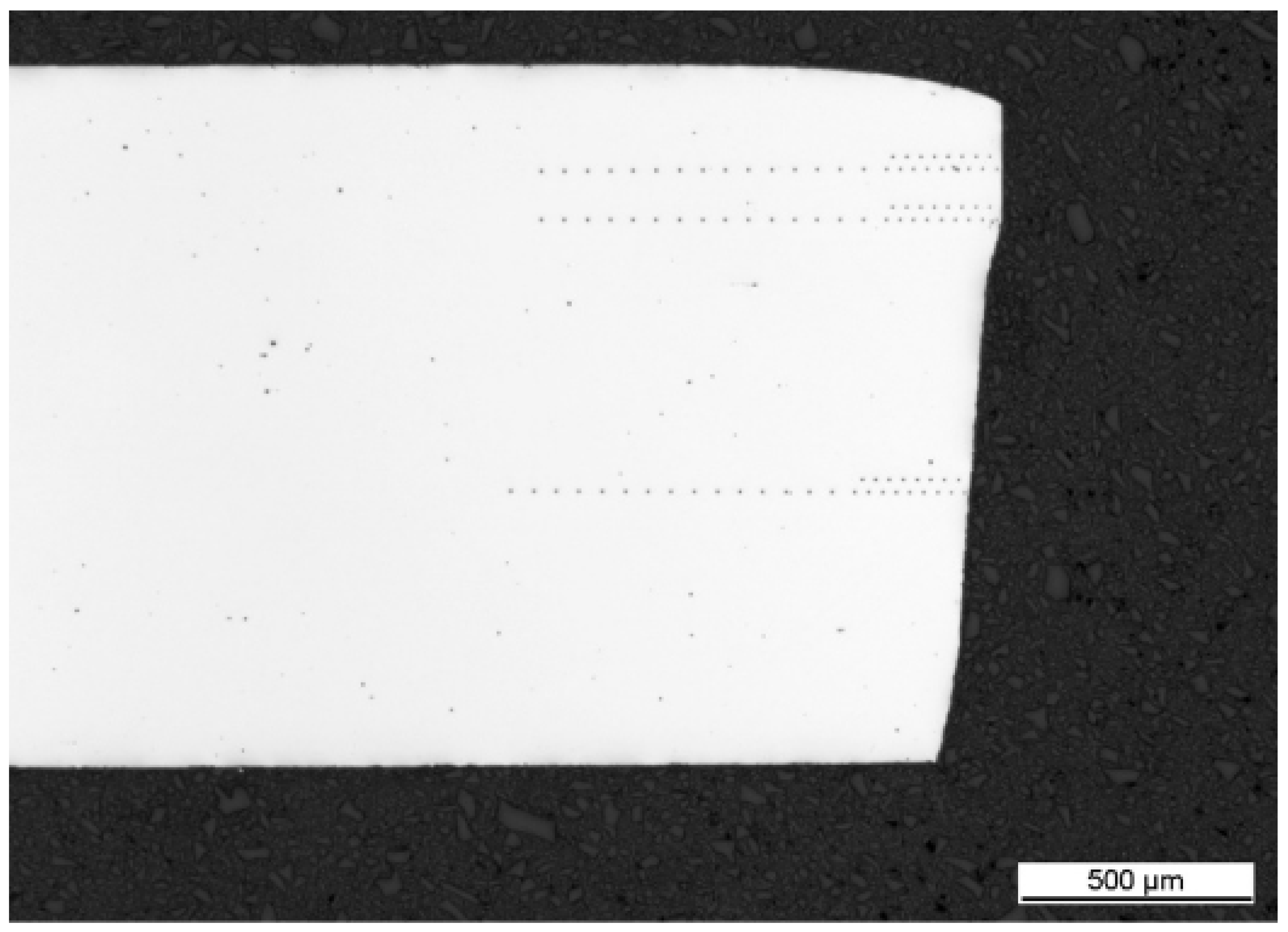 Preprints 161085 g013