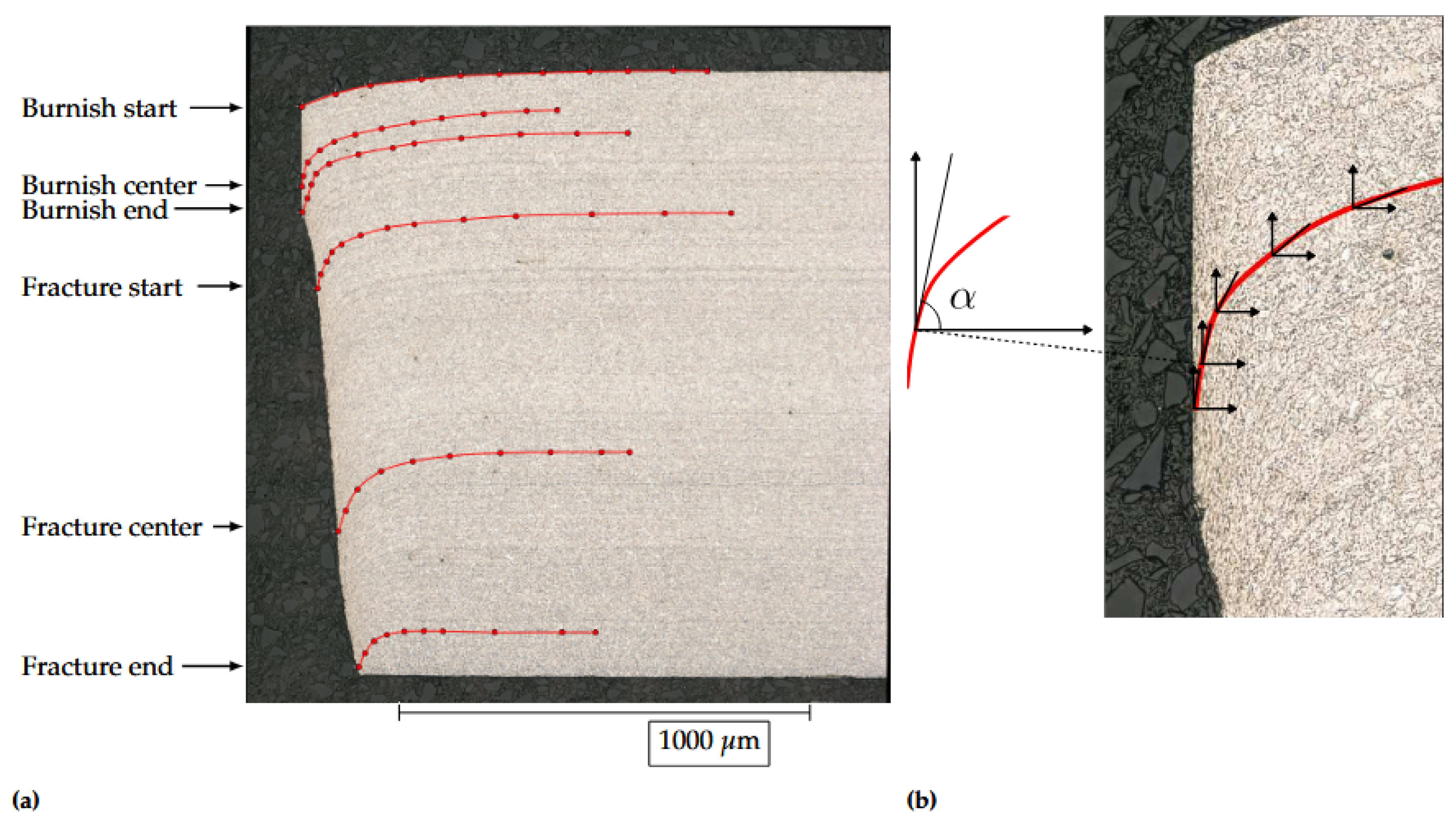 Preprints 161085 g014