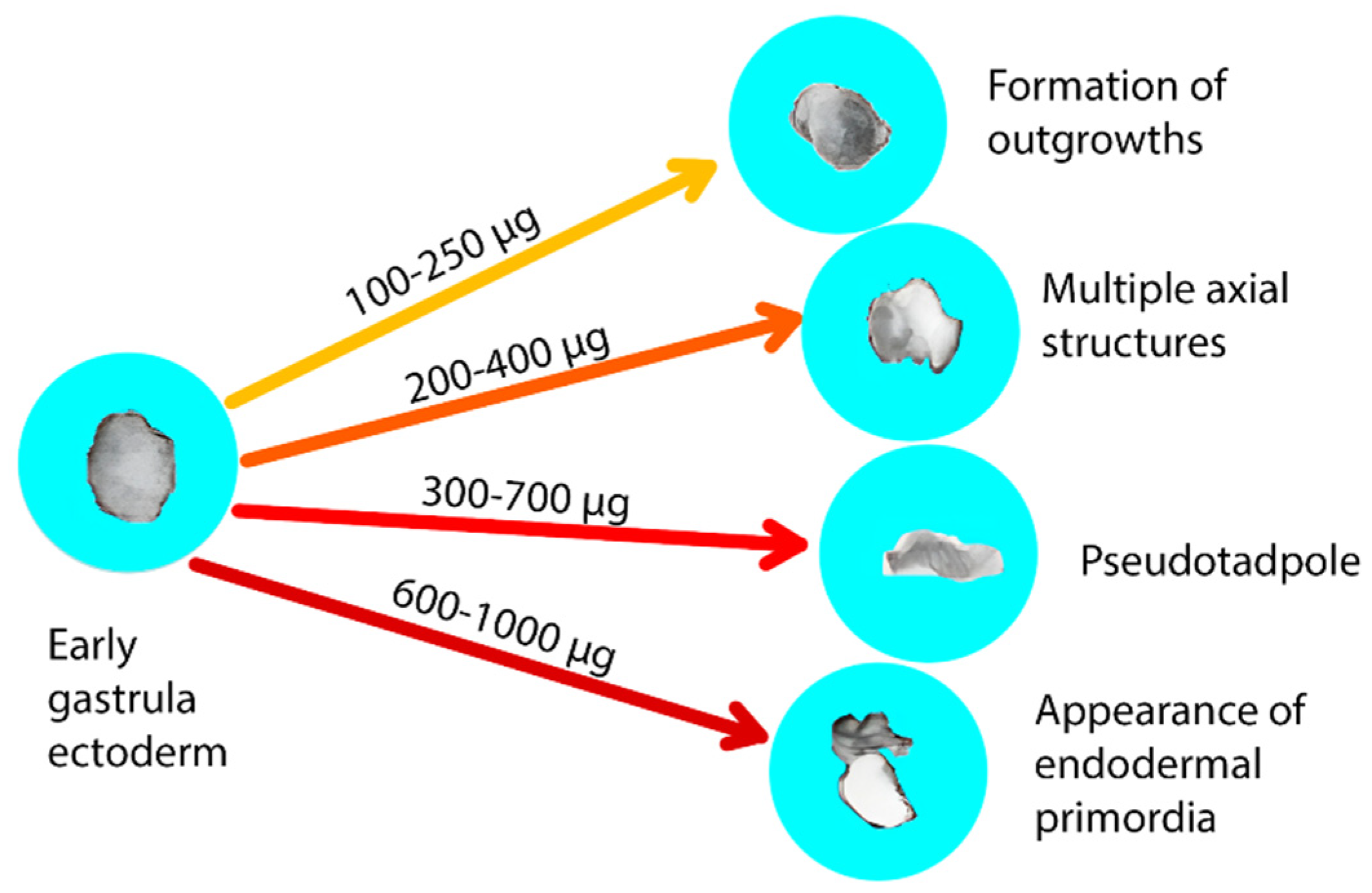 Preprints 141275 g001