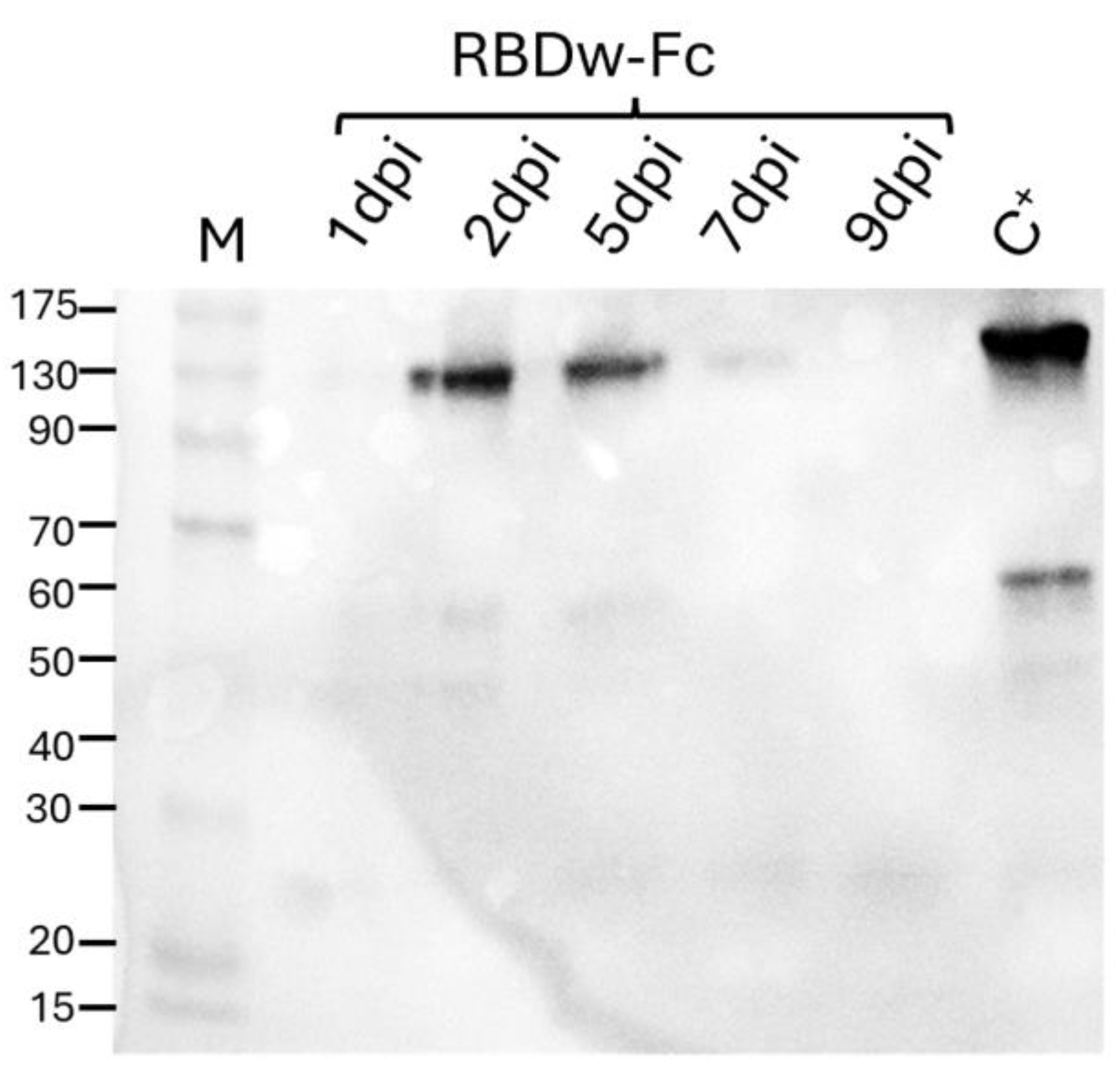 Preprints 156056 g001