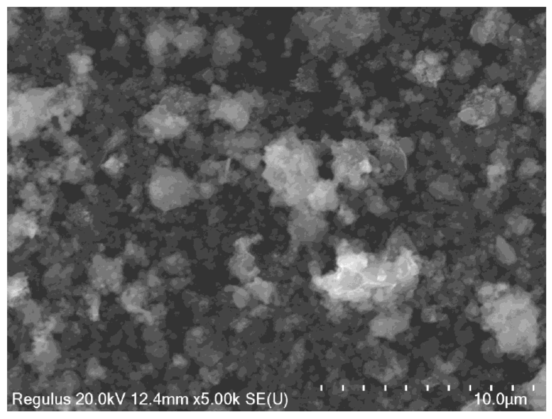 Preprints 202129 g006