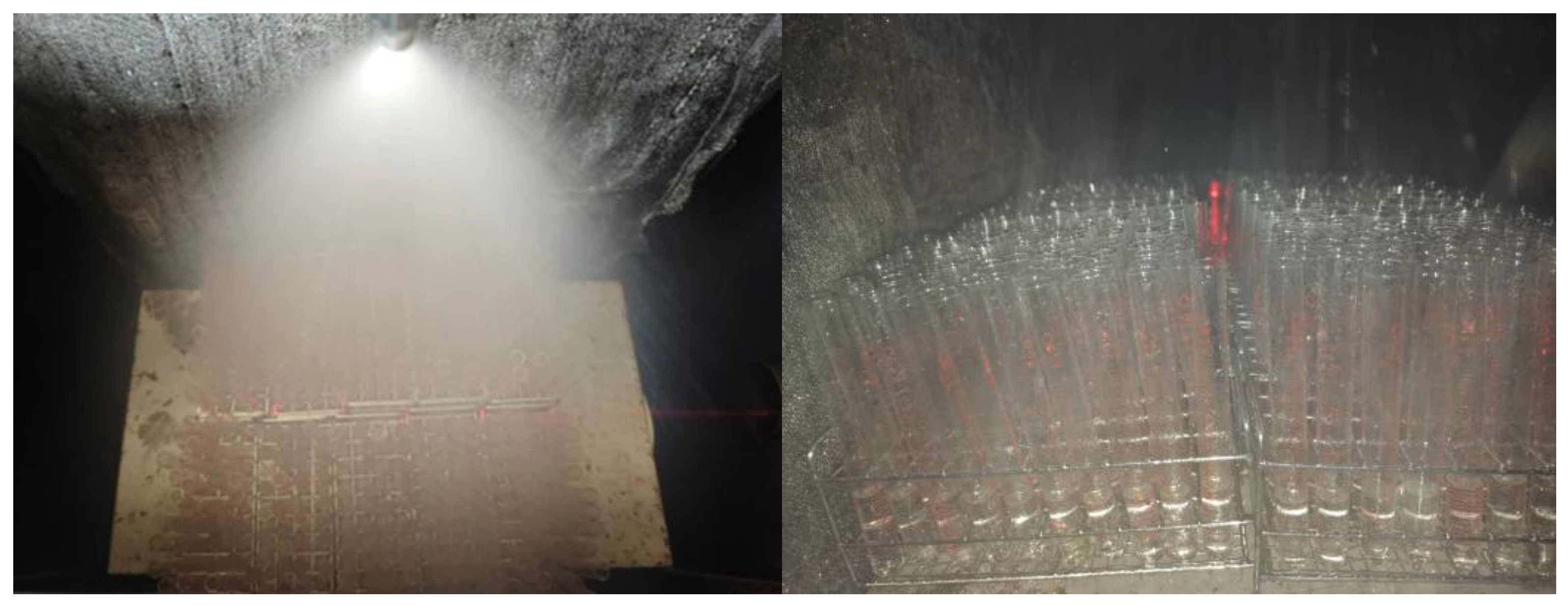 Preprints 202129 g008