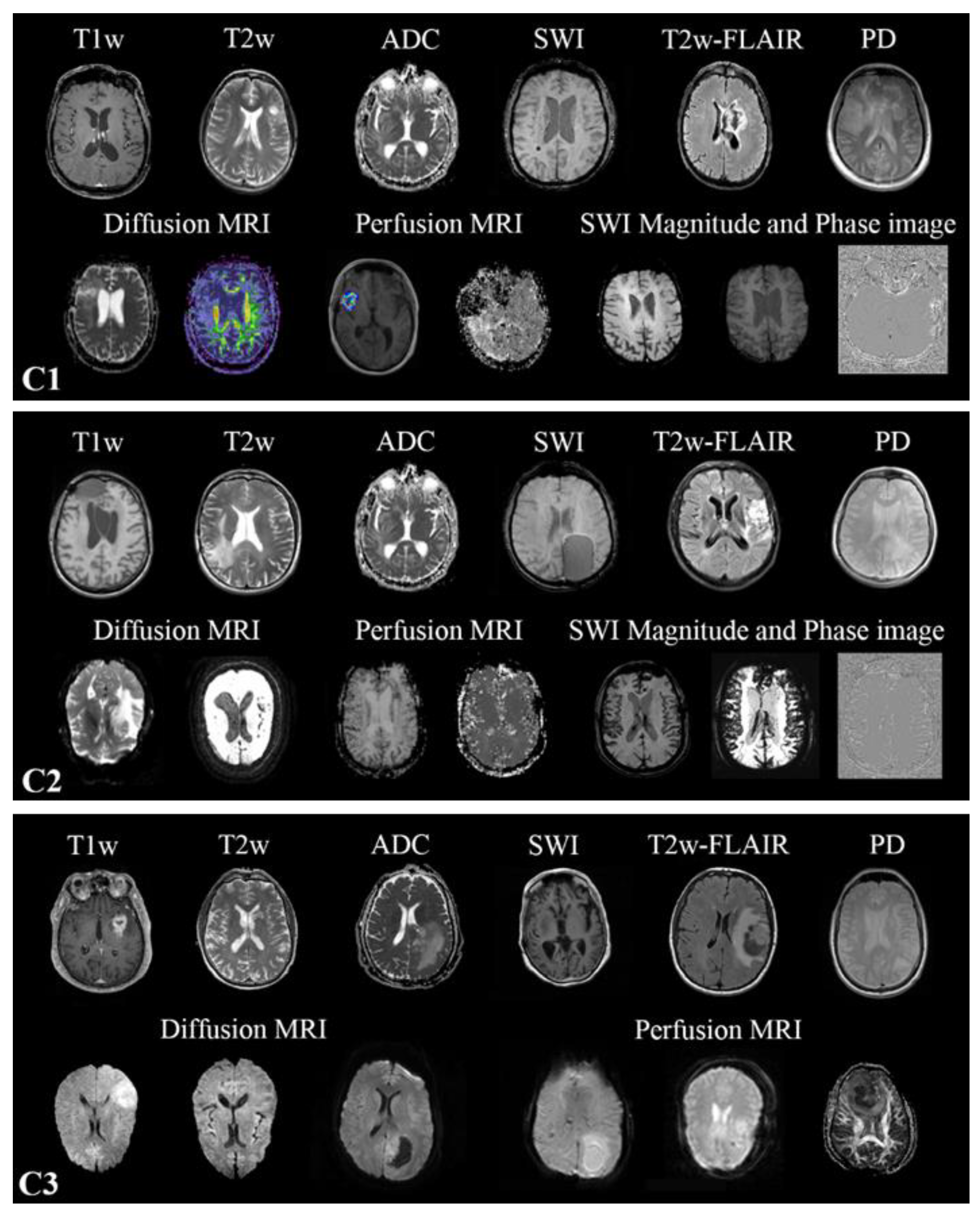 Preprints 67137 g001