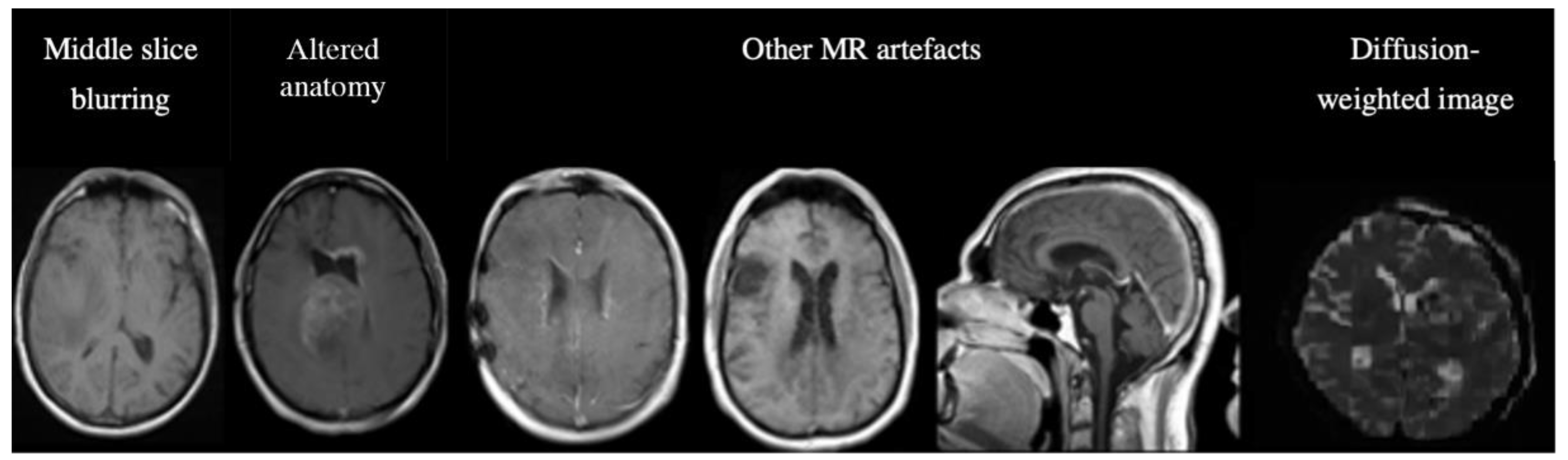 Preprints 67137 g007