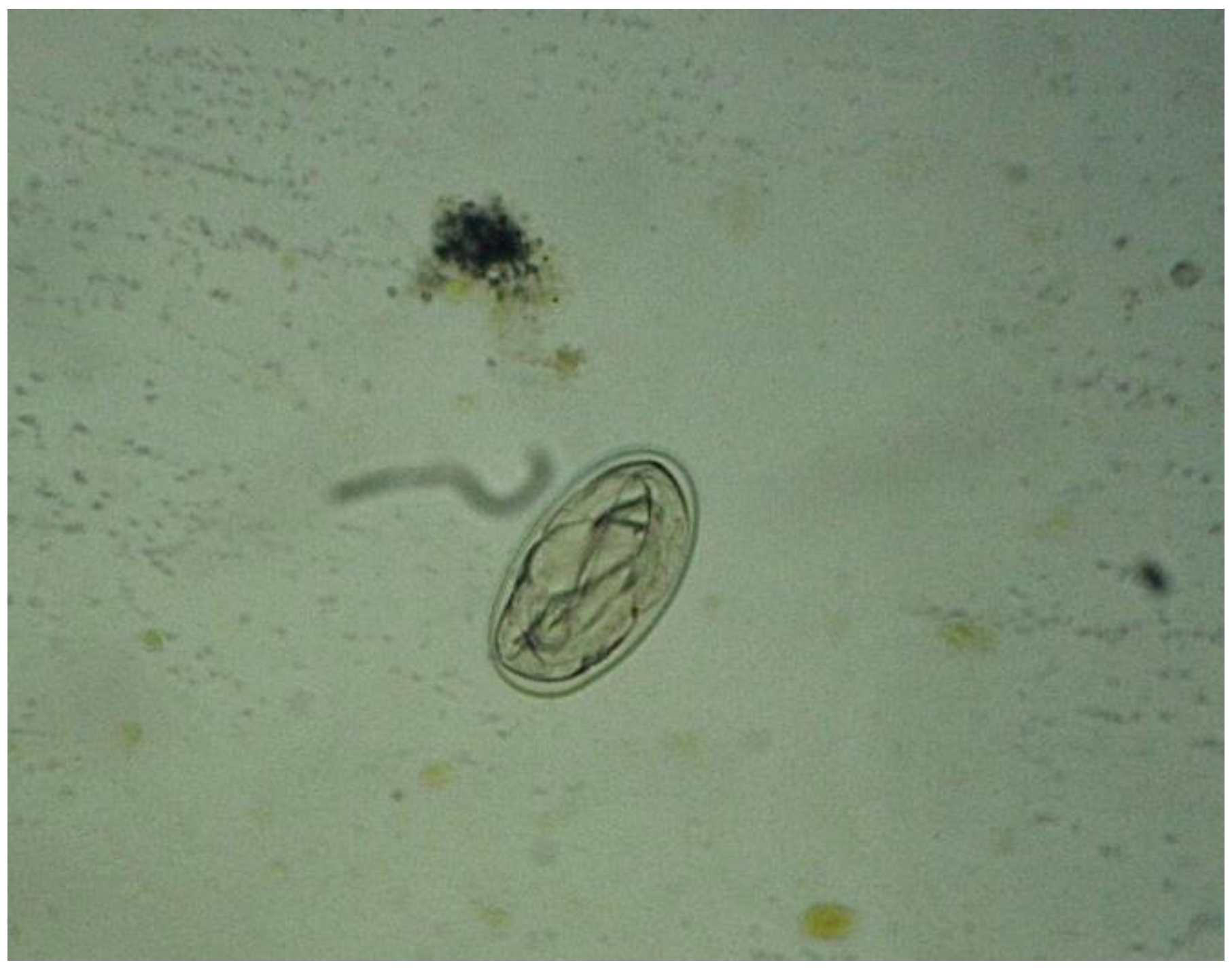 Preprints 79204 g001