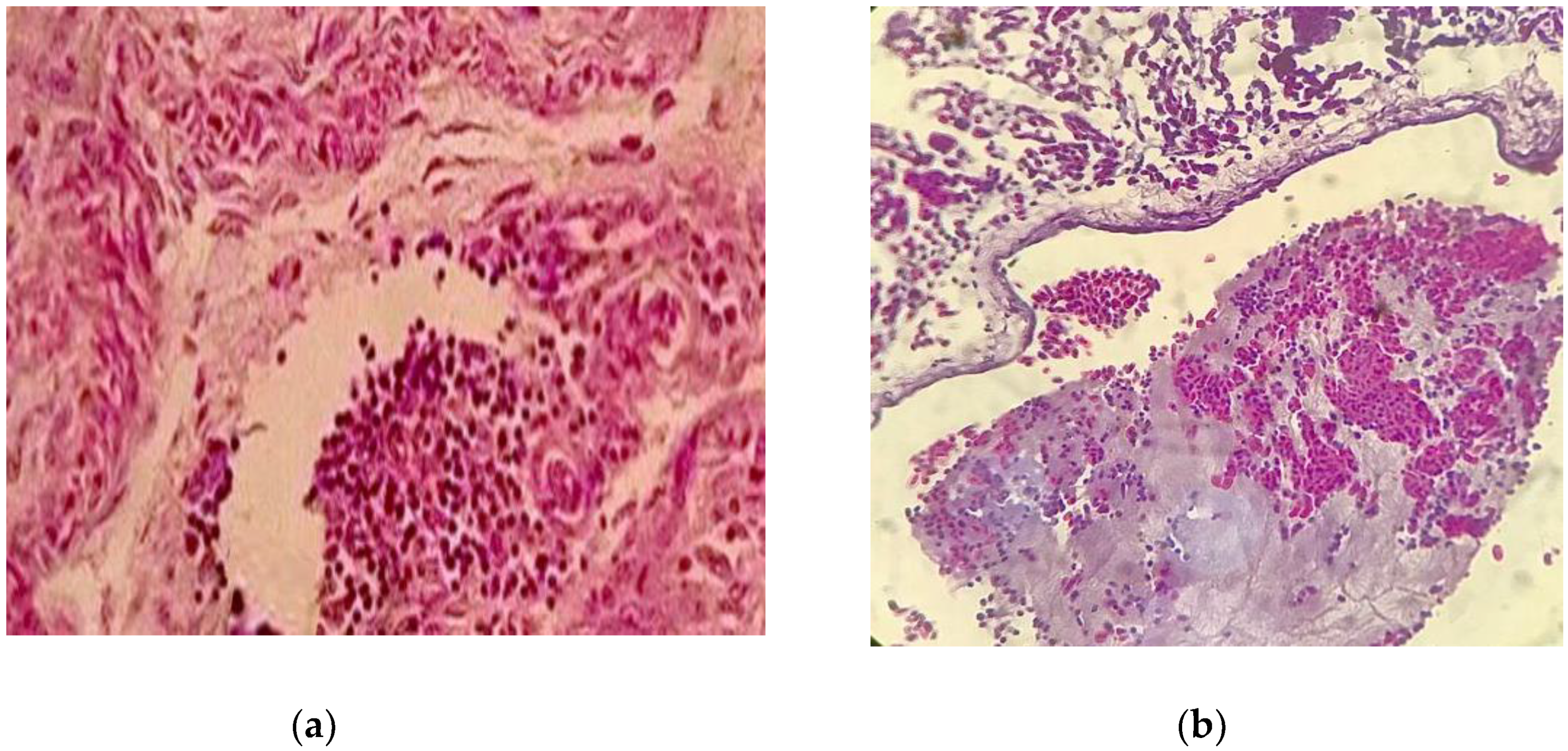 Preprints 79204 g003