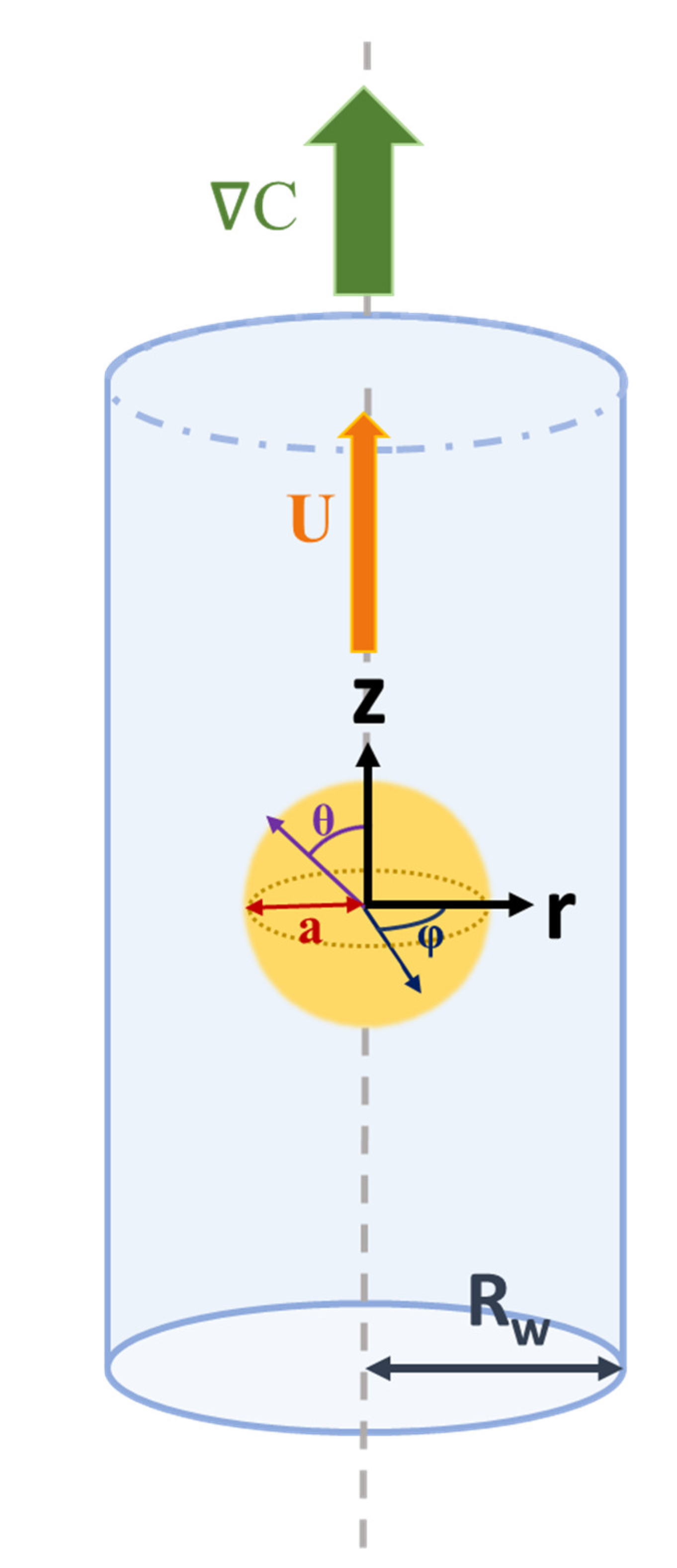 Preprints 157068 g001