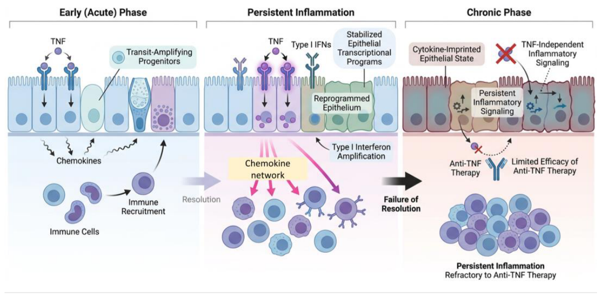 Preprints 216558 g001