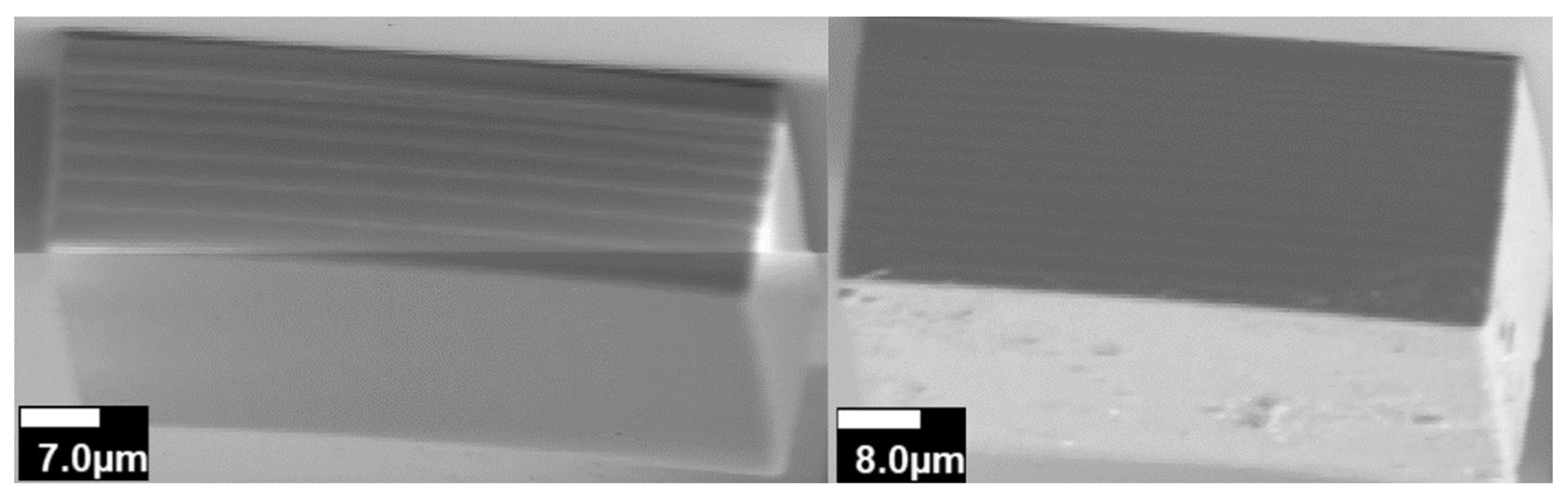 Preprints 90242 g008