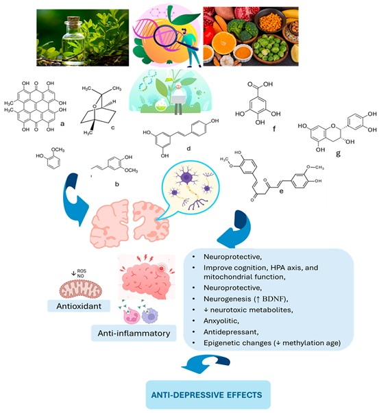 Preprints 155886 g002