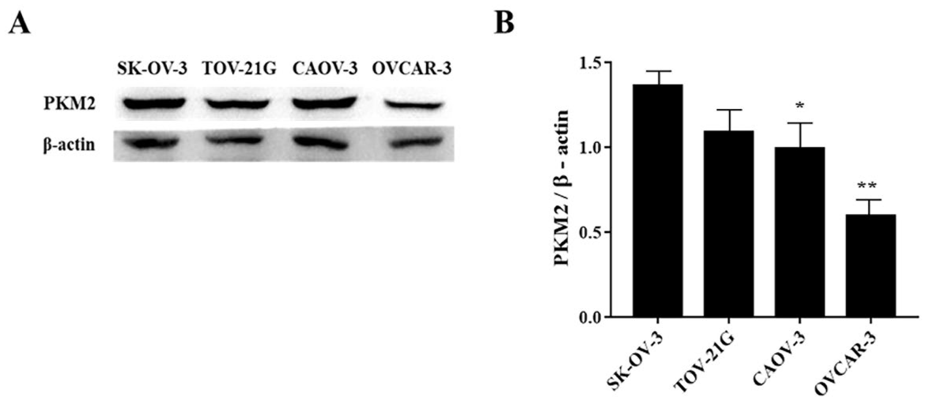 Preprints 220492 g002