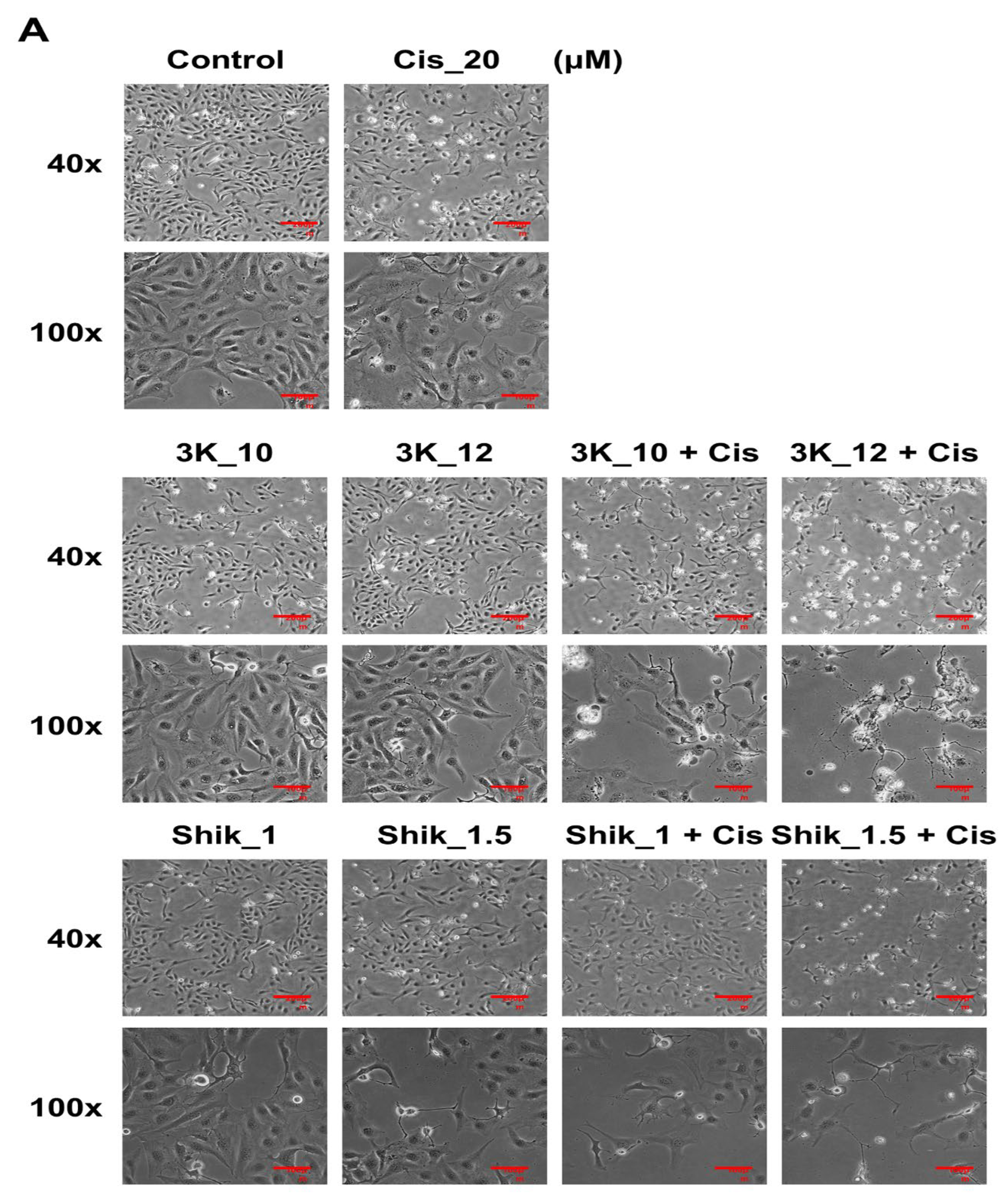 Preprints 220492 g004a