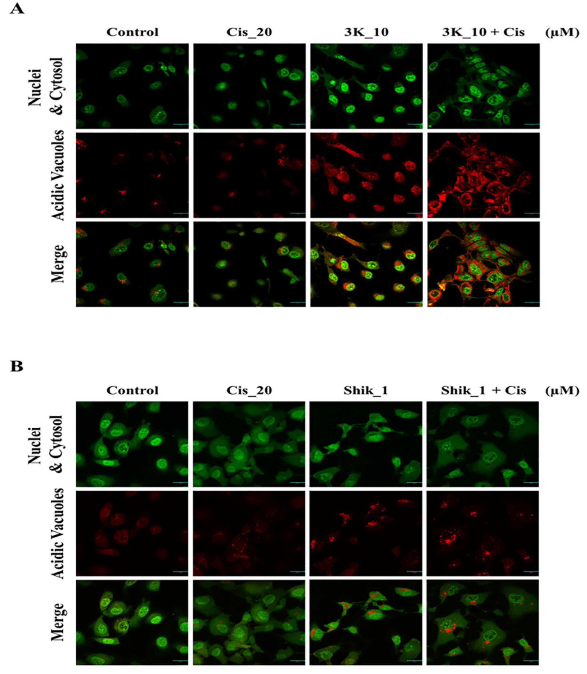 Preprints 220492 g007