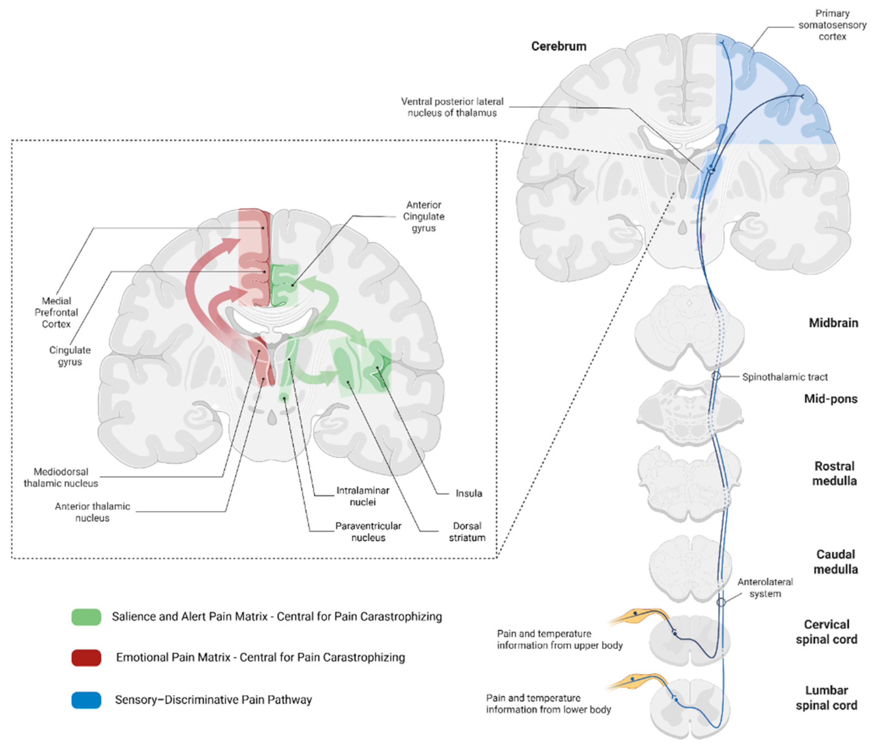 Preprints 183400 g001