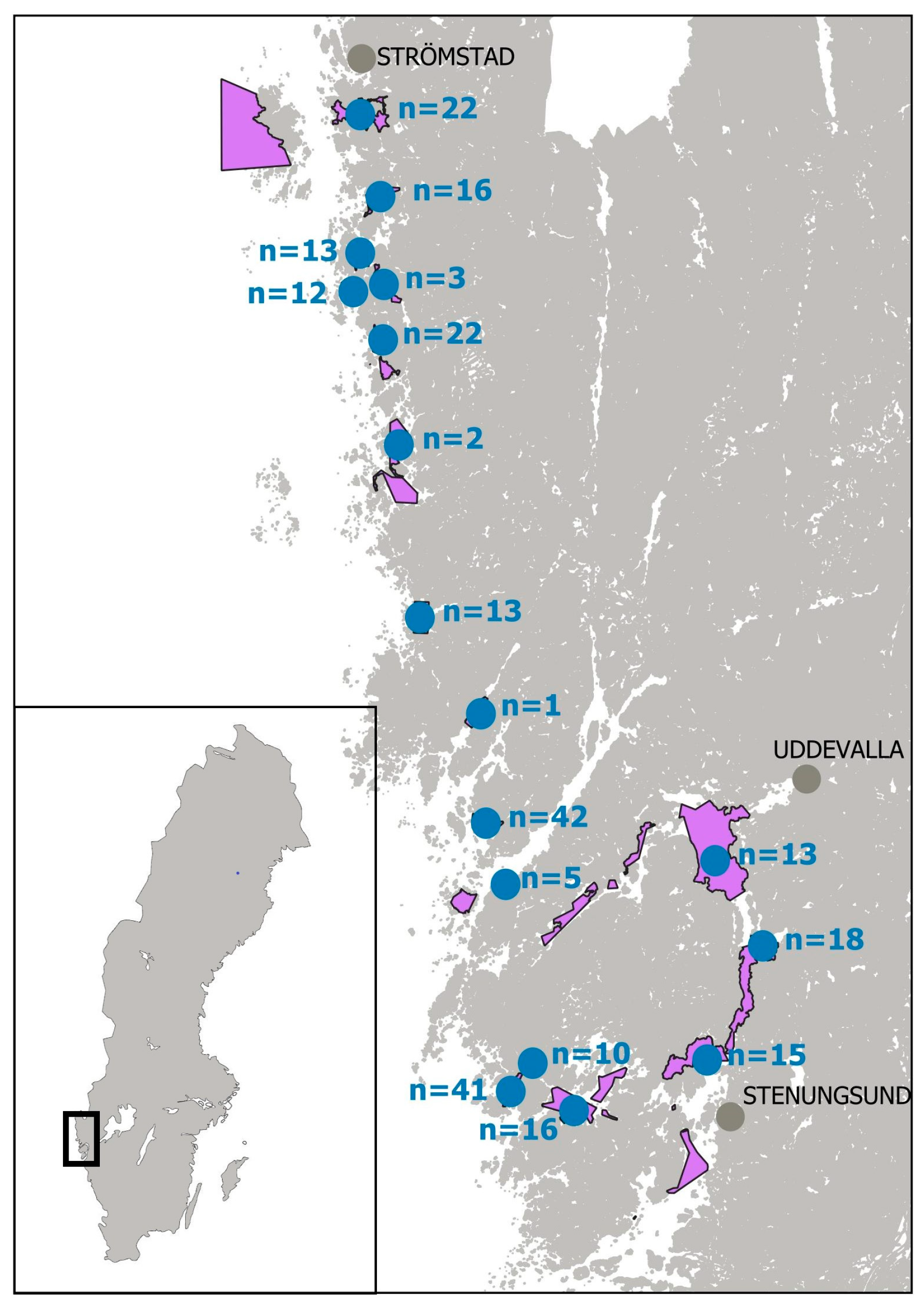 Preprints 158398 g001