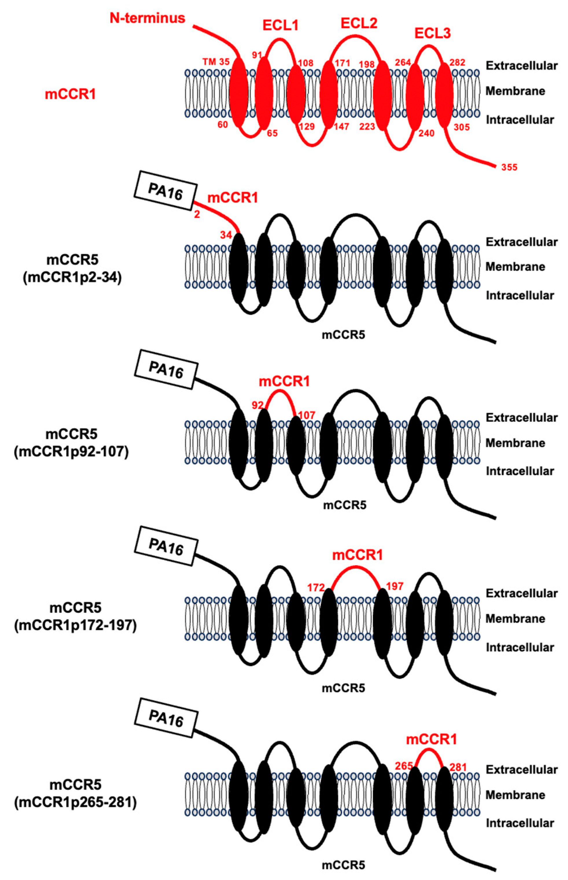 Preprints 156270 g001