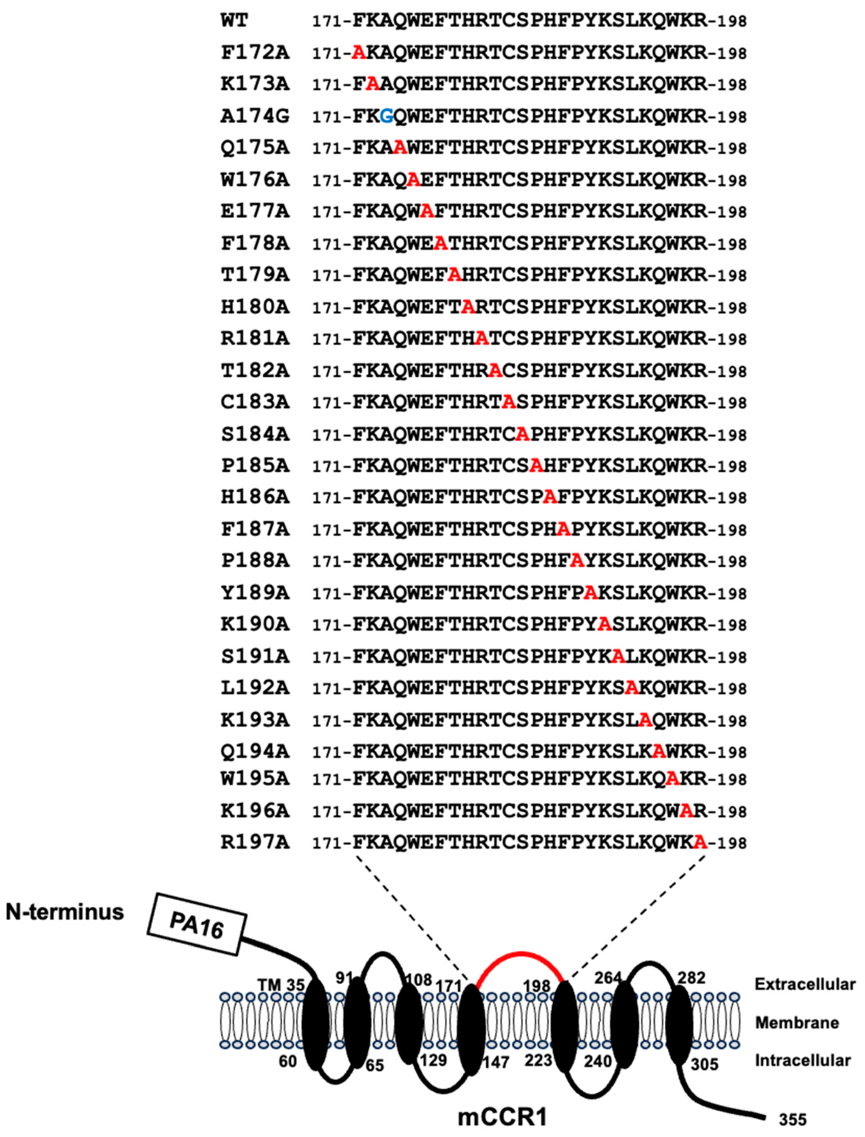 Preprints 156270 g003