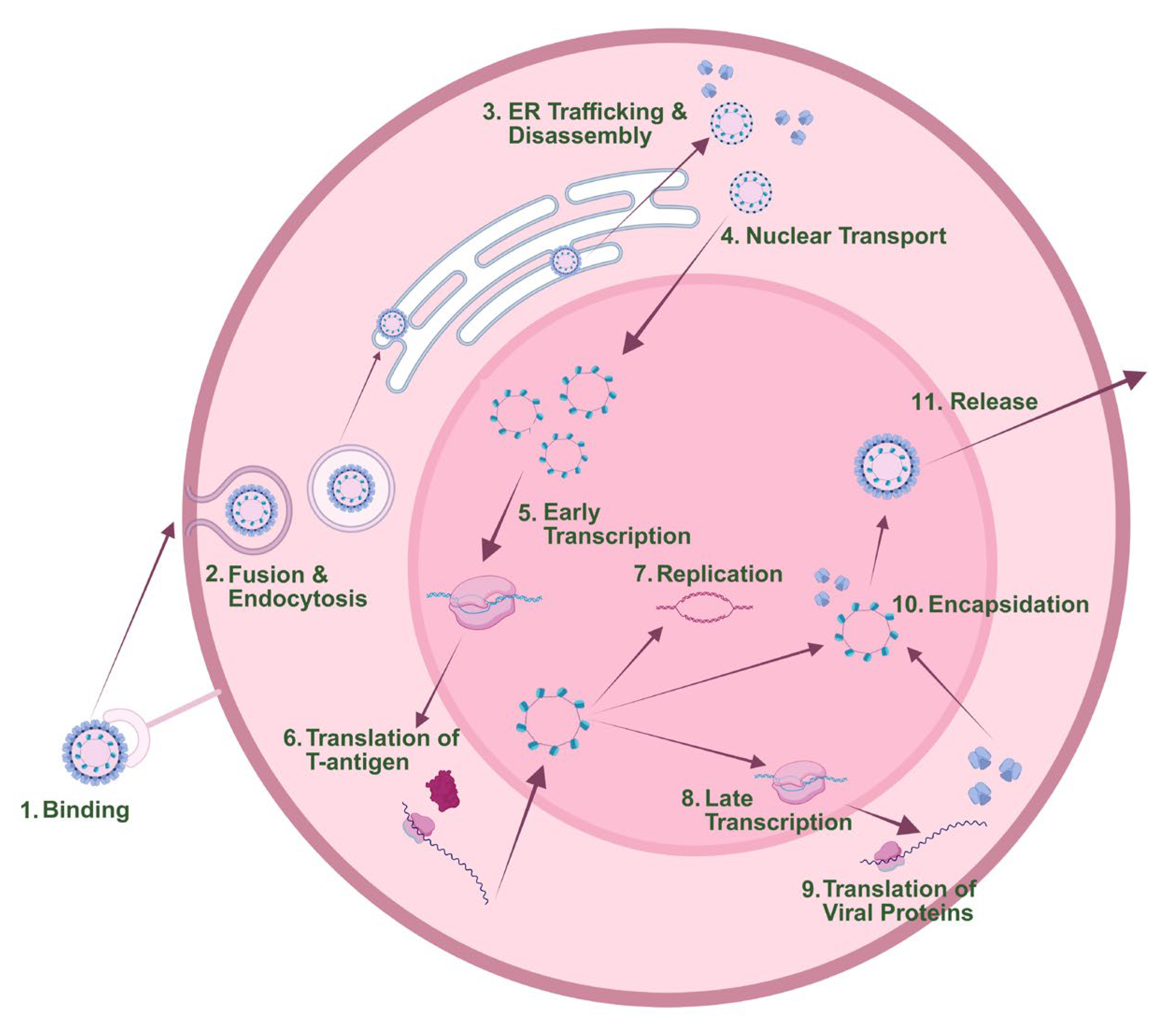 Preprints 207324 g001
