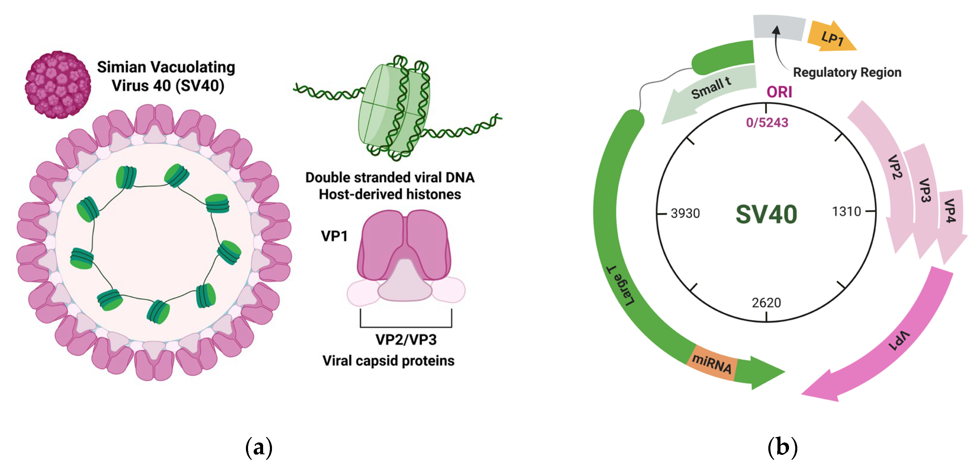 Preprints 207324 g002