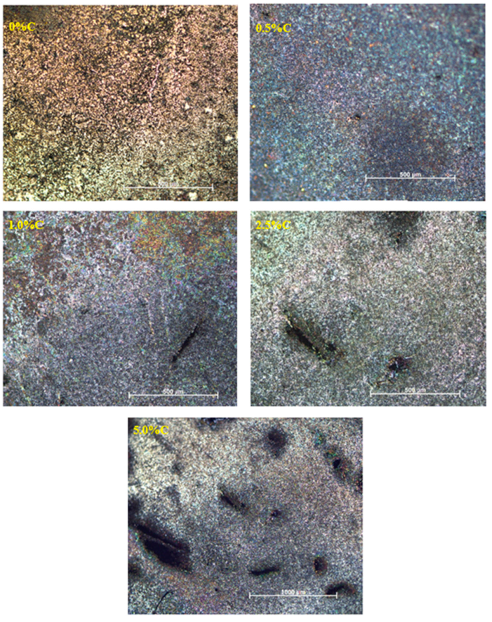 Preprints 155921 g006