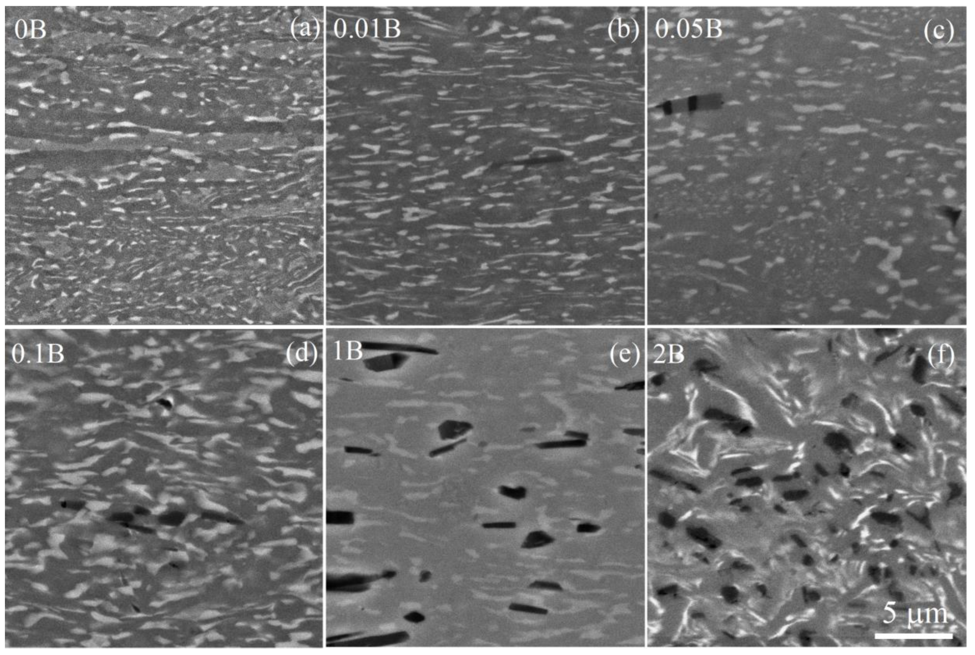 Preprints 70685 g005