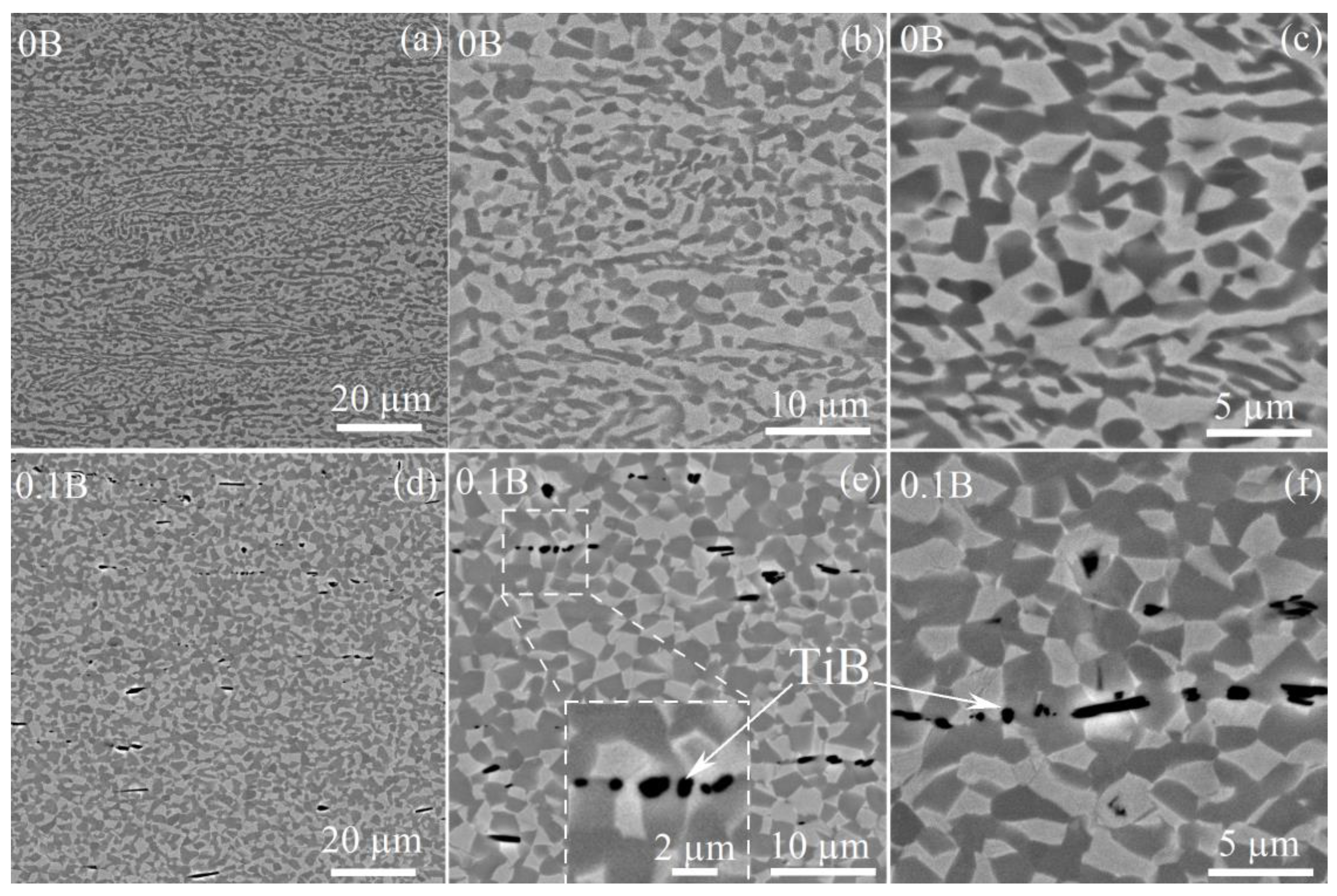 Preprints 70685 g006