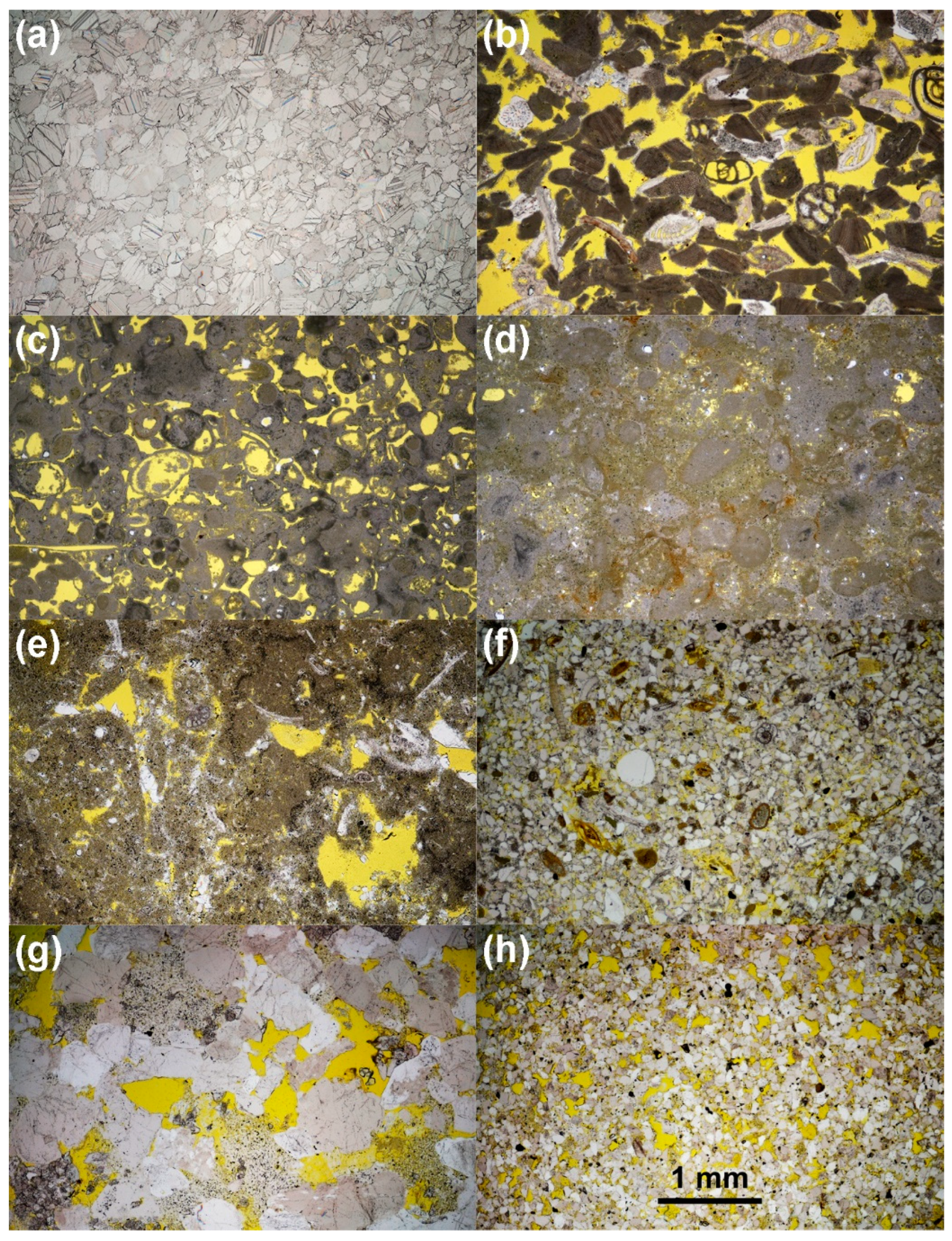 Preprints 142683 g001