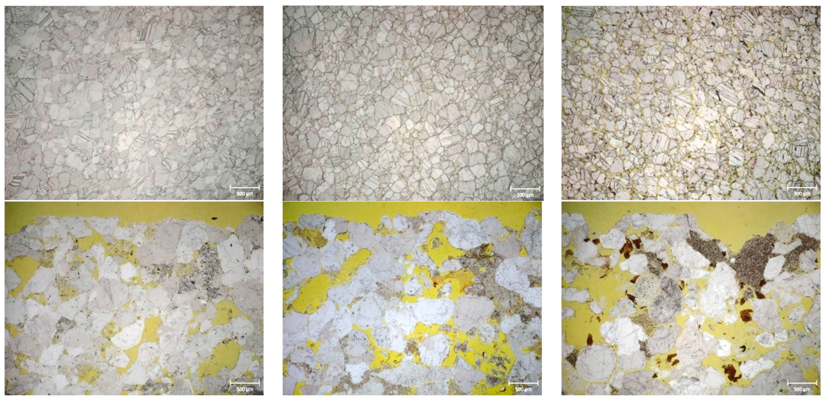 Preprints 142683 g008