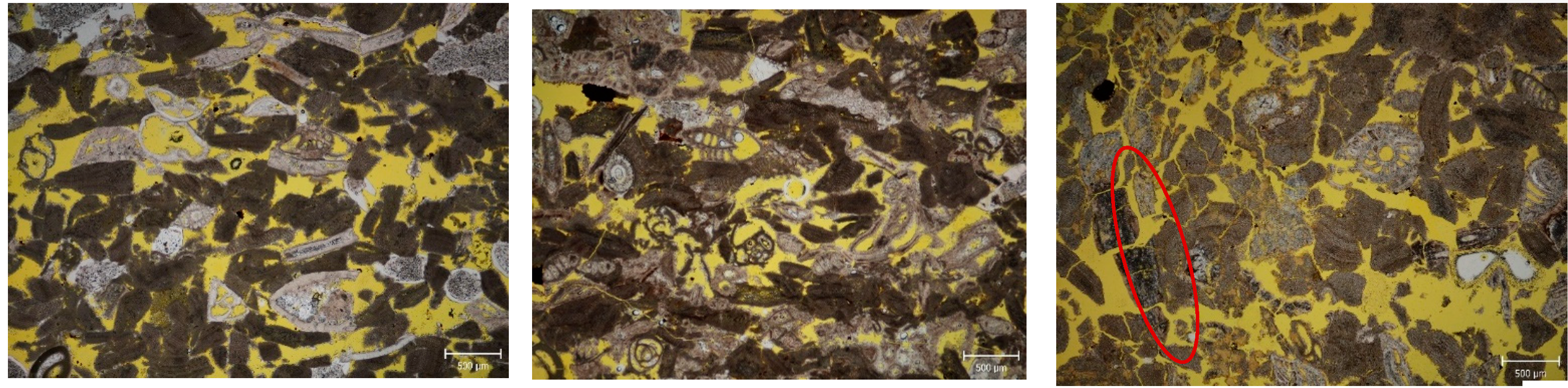 Preprints 142683 g009