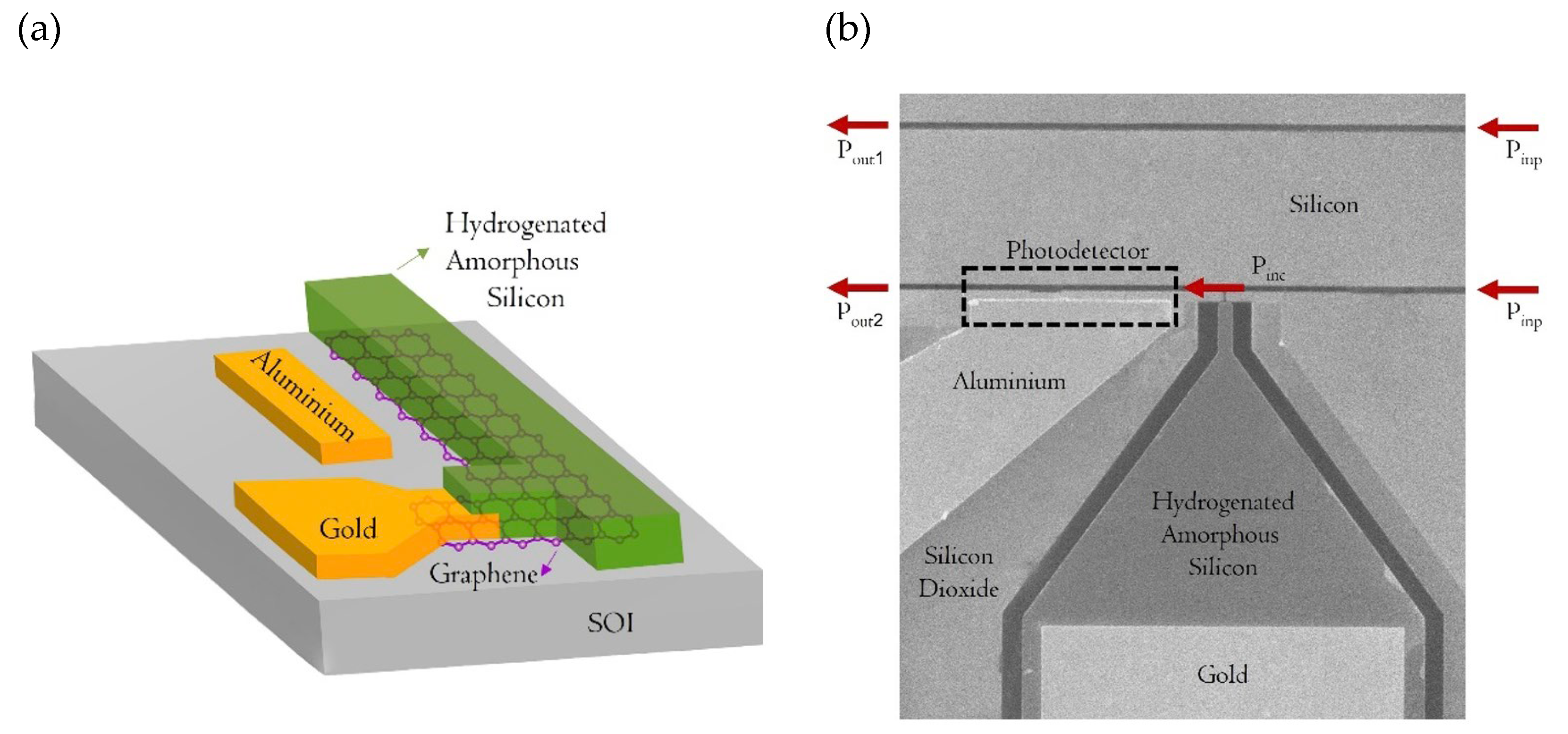 Preprints 149152 g002