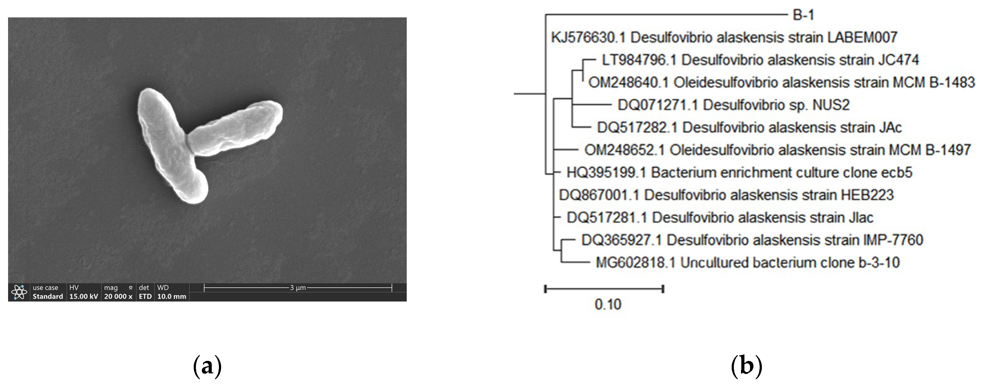 Preprints 189951 g001