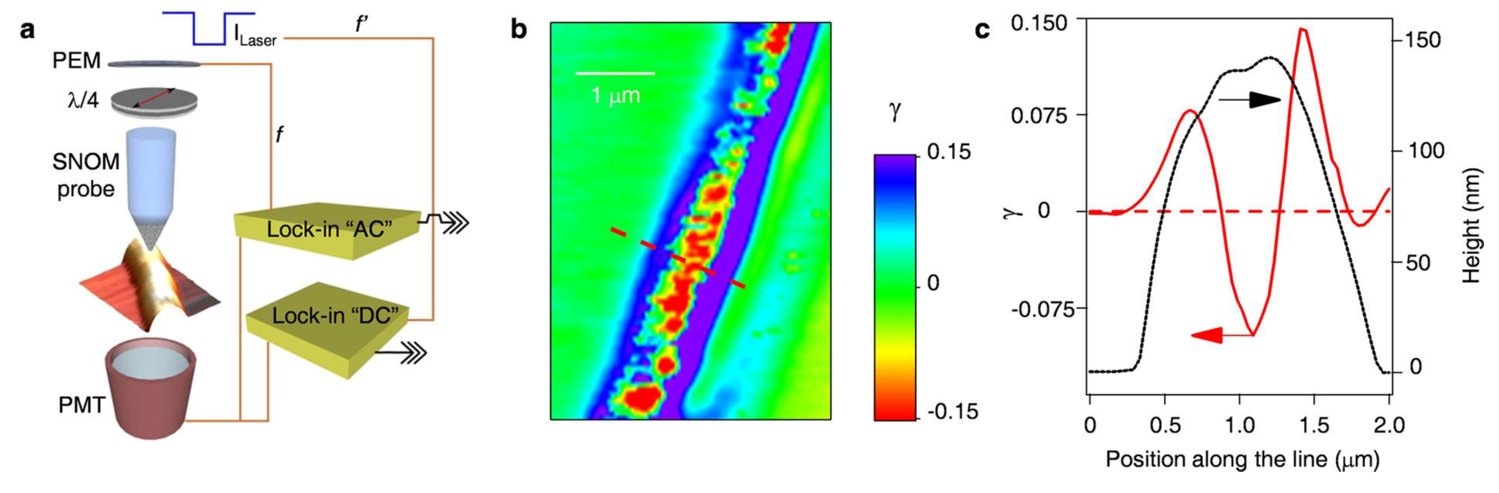Preprints 202567 g003